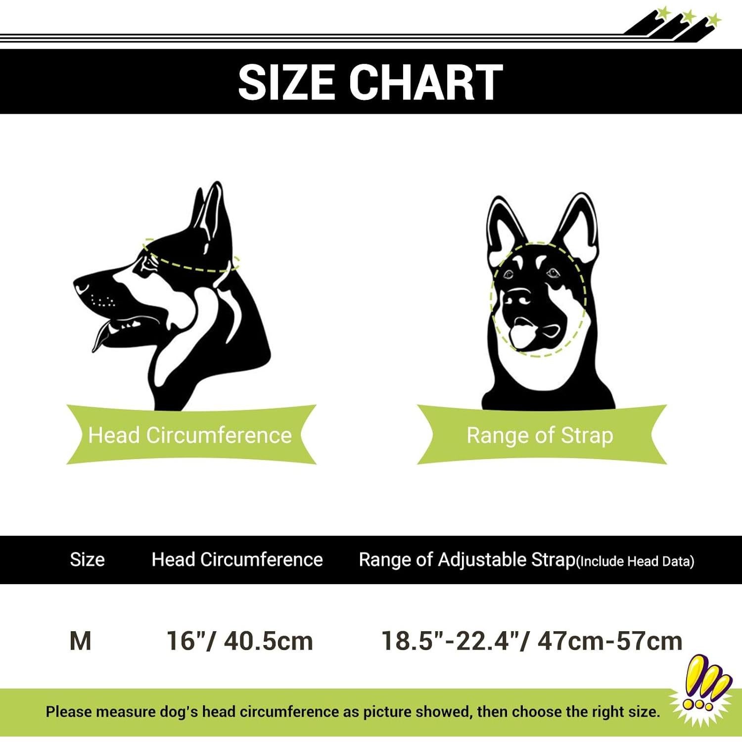 Conjunto Gafas y Casco para Perros BillionChains Negro