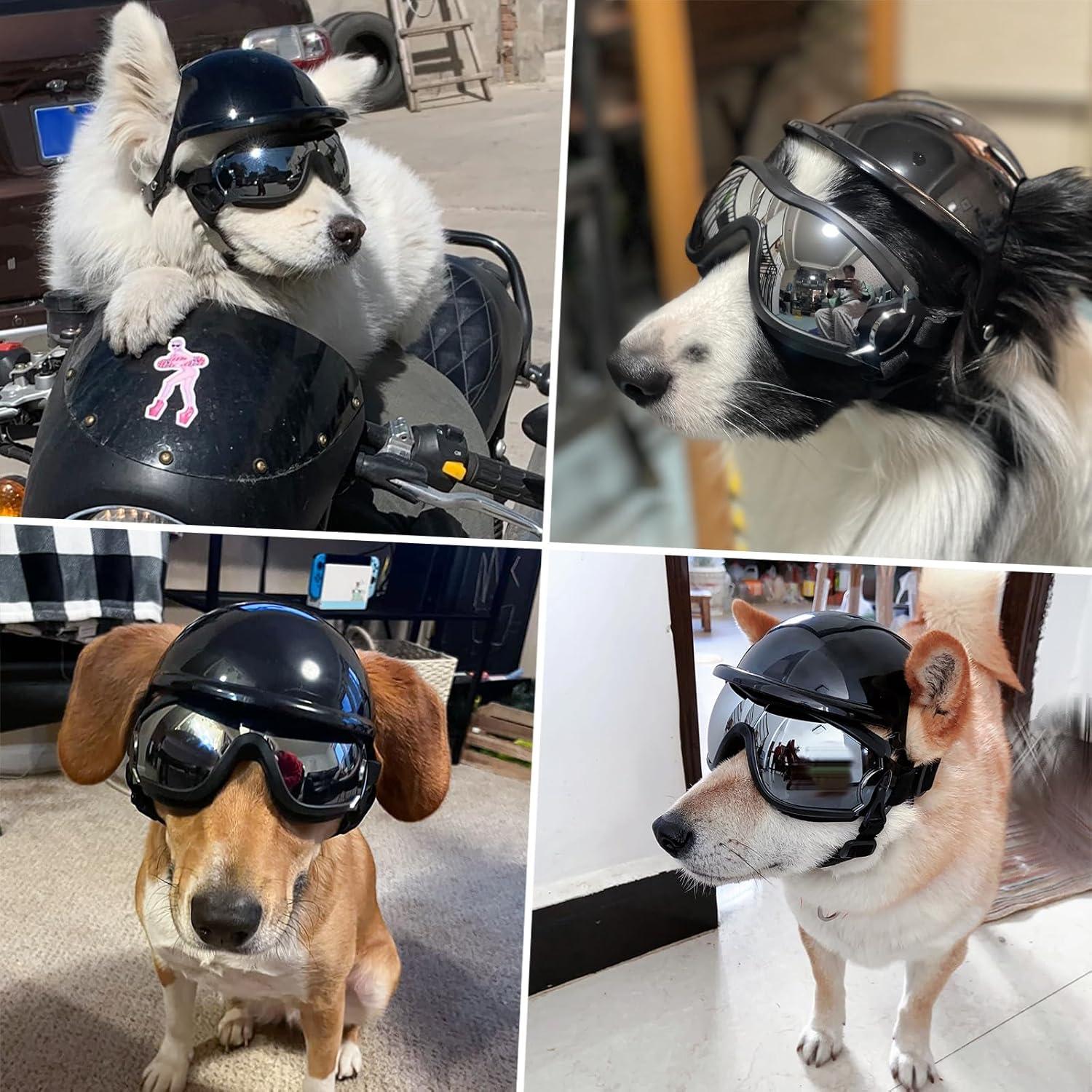 Conjunto Gafas y Casco para Perros BillionChains Negro