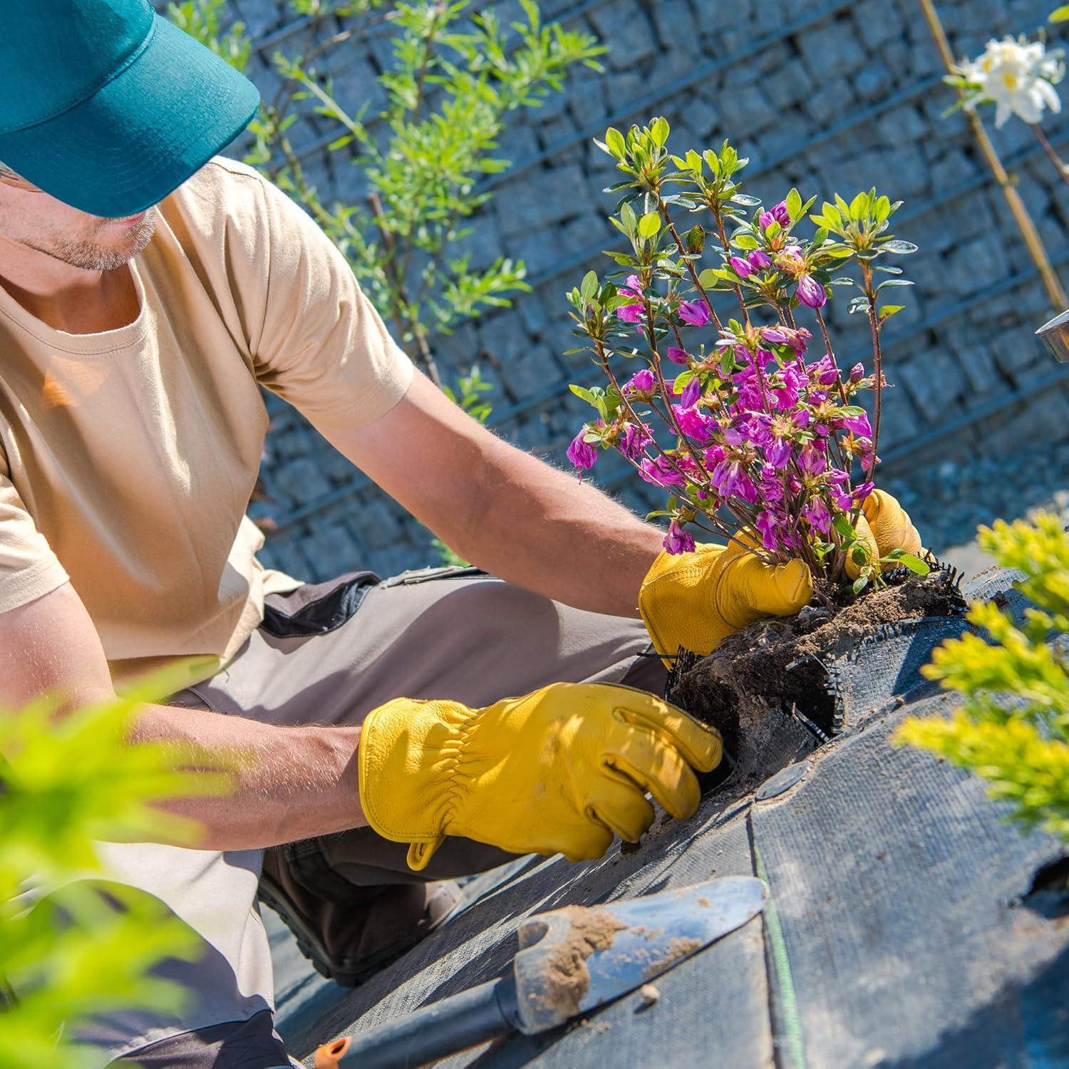 Guantes de trabajo DULFINE de cuero para jardinería - Grande