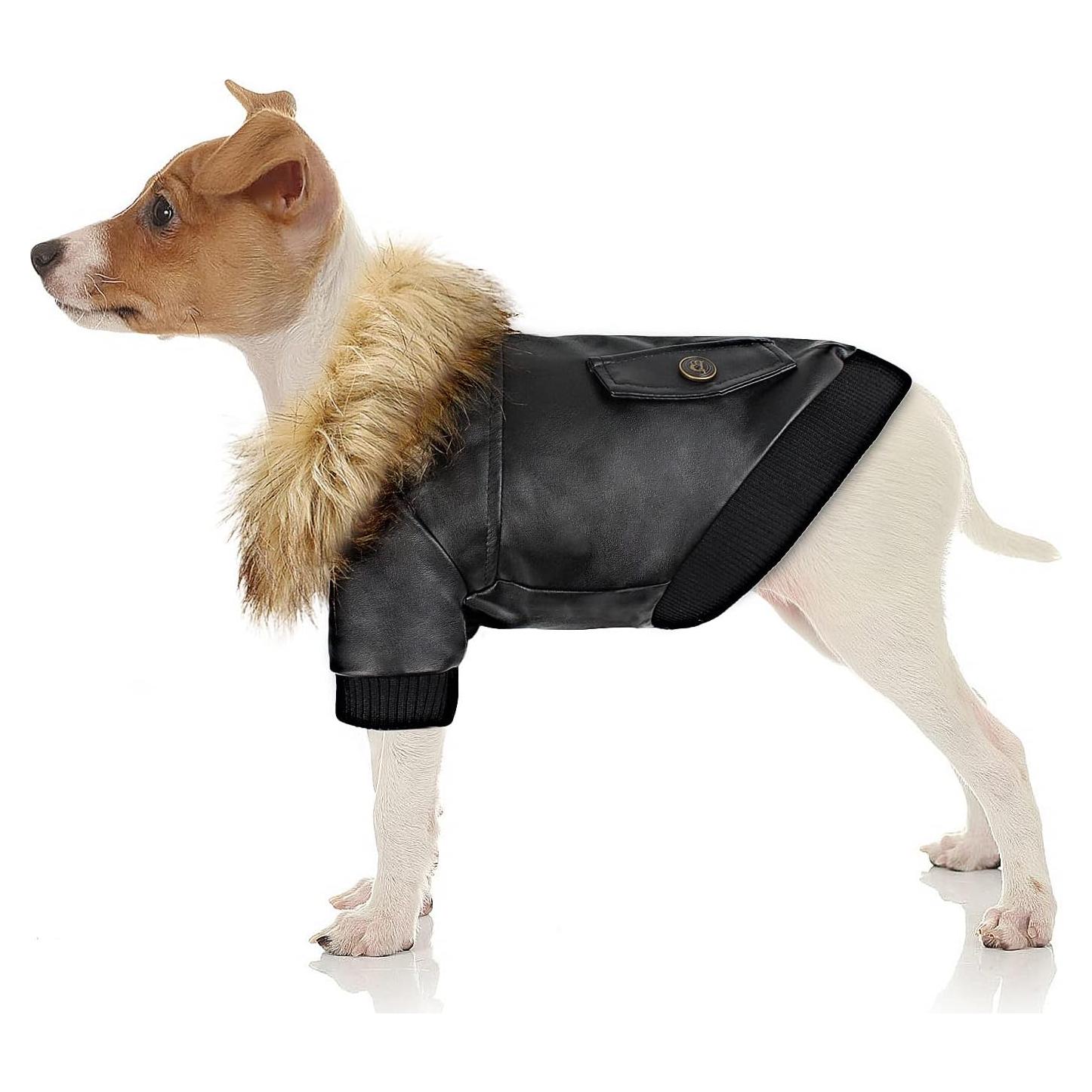 Abrigo de Invierno para Perros Pequeños Namsan Negro Mediano