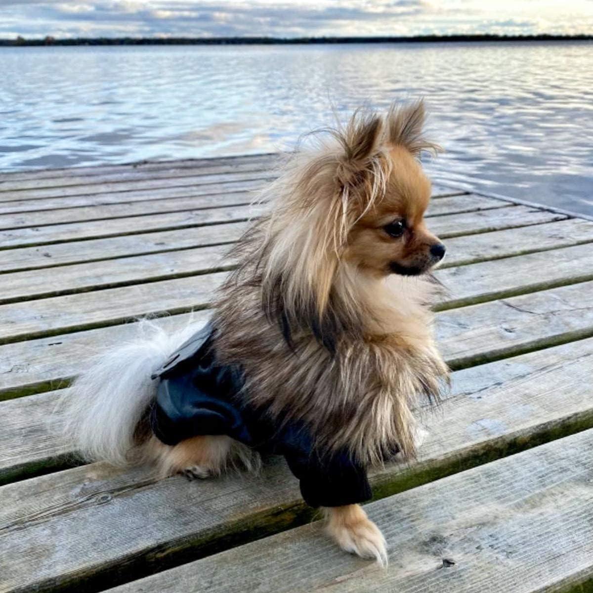 Abrigo de Invierno para Perros Pequeños Namsan Negro Mediano