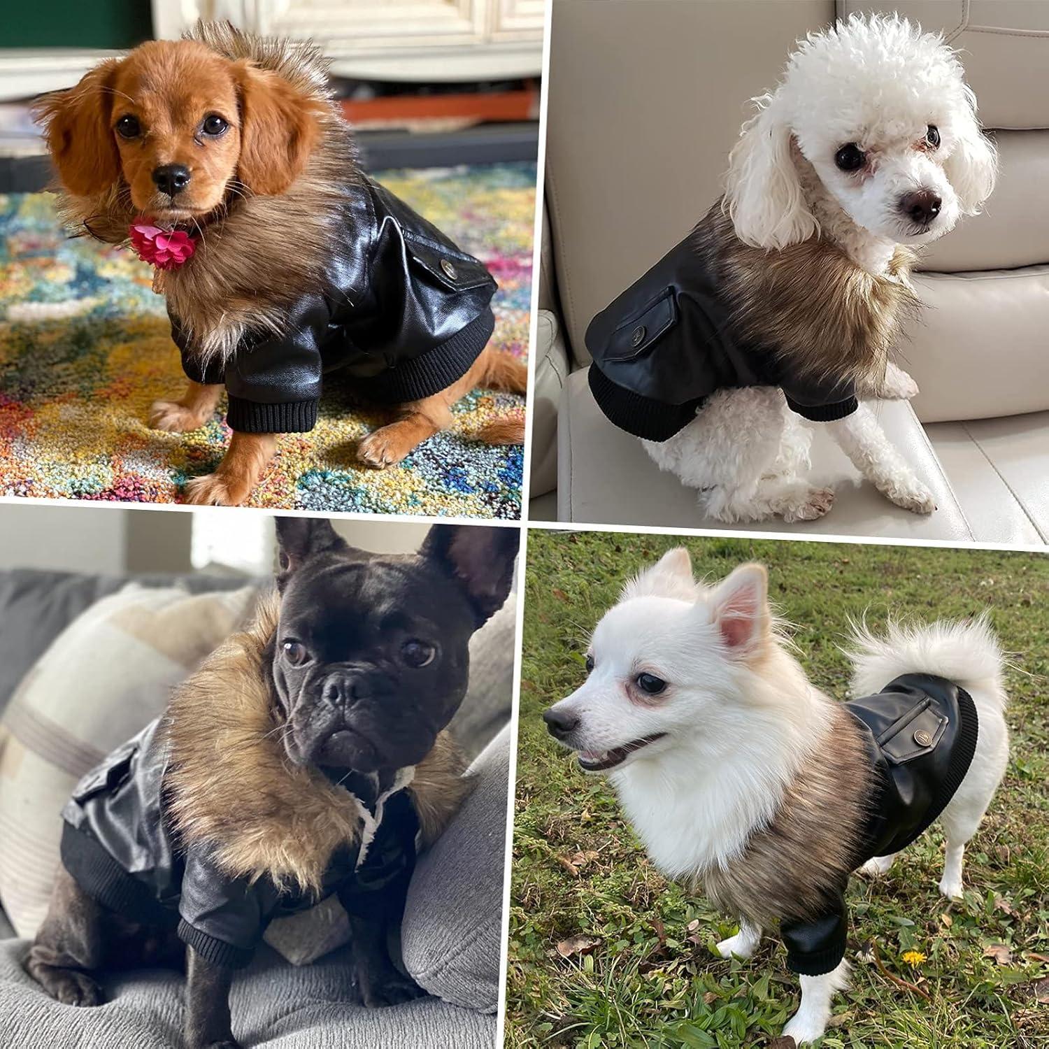 Abrigo de Invierno para Perros Pequeños Namsan Negro Mediano