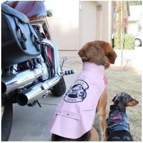 Chaqueta Arnés de Moto Biker Dawg Doggie Design Piel Sintética Rosa