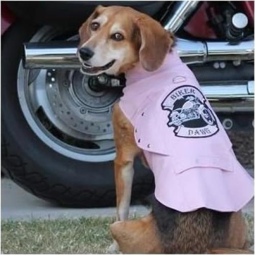 Chaqueta Arnés de Moto Biker Dawg Doggie Design Piel Sintética Rosa