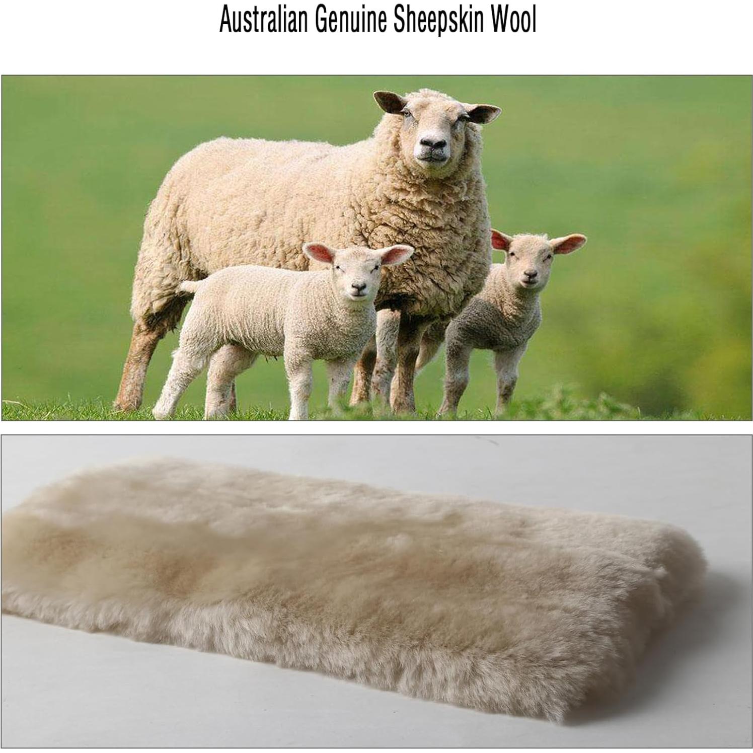 Cubierta de cinturón de seguridad ROYAGO 2 piezas Beige Perla