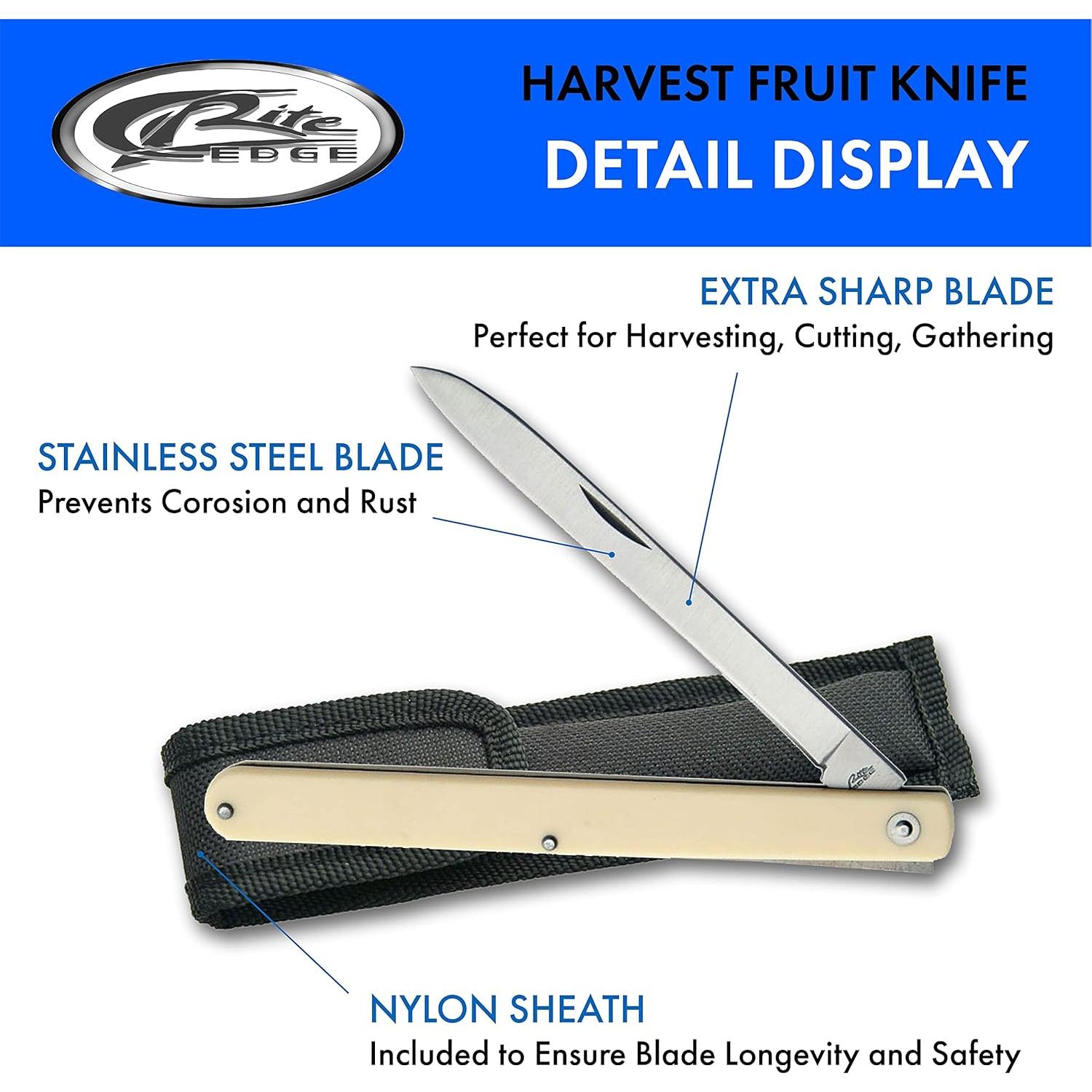 Cuchillo de Frutas Plegable SZCO 14.6 cm Acero Inoxidable