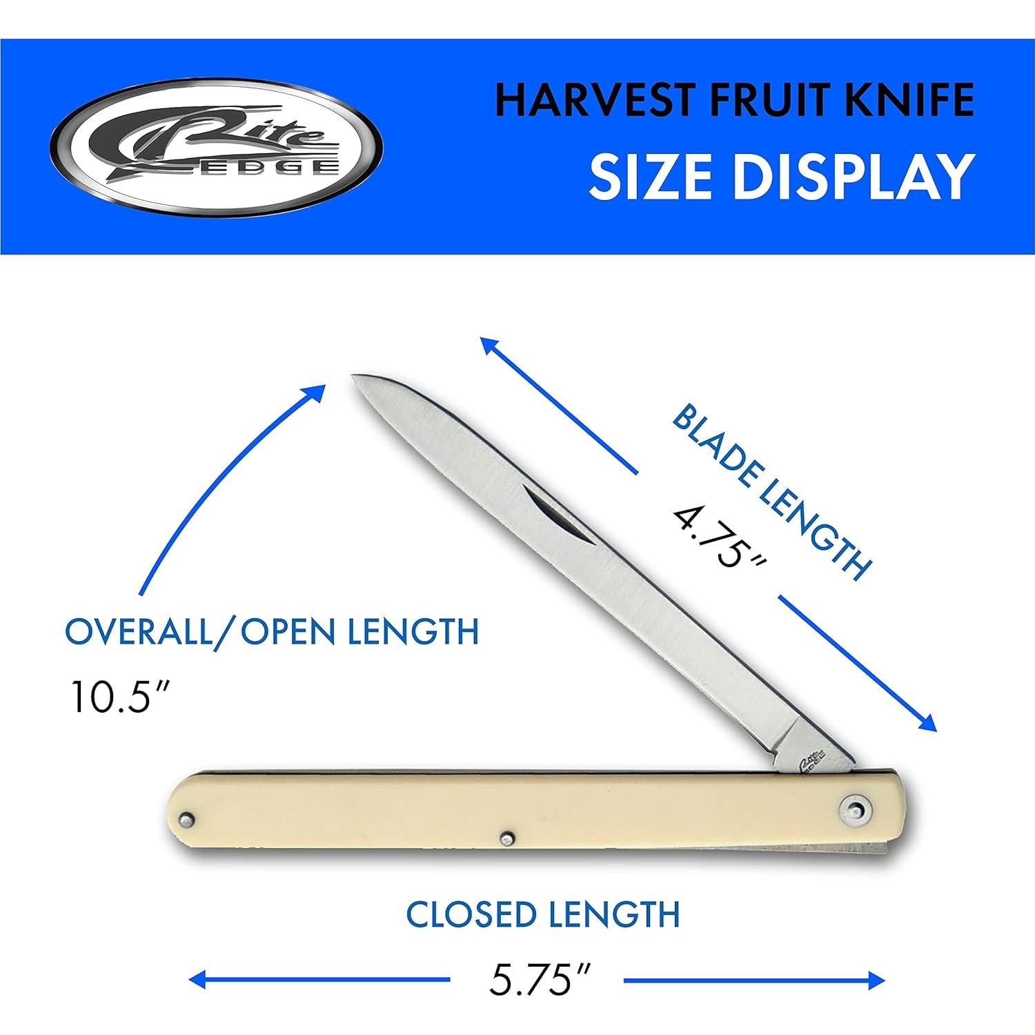 Cuchillo de Frutas Plegable SZCO 14.6 cm Acero Inoxidable