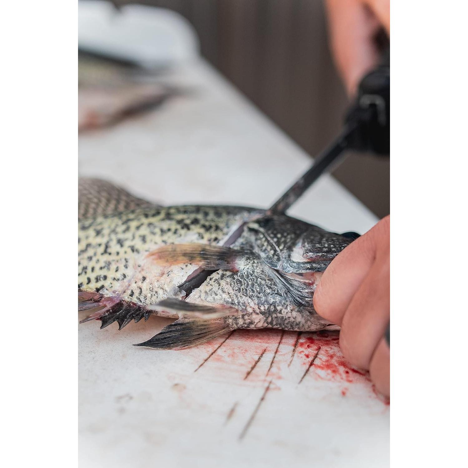 Cuchilla de Repuesto EFK 20.32cm Viejo Temporizador Inoxidable