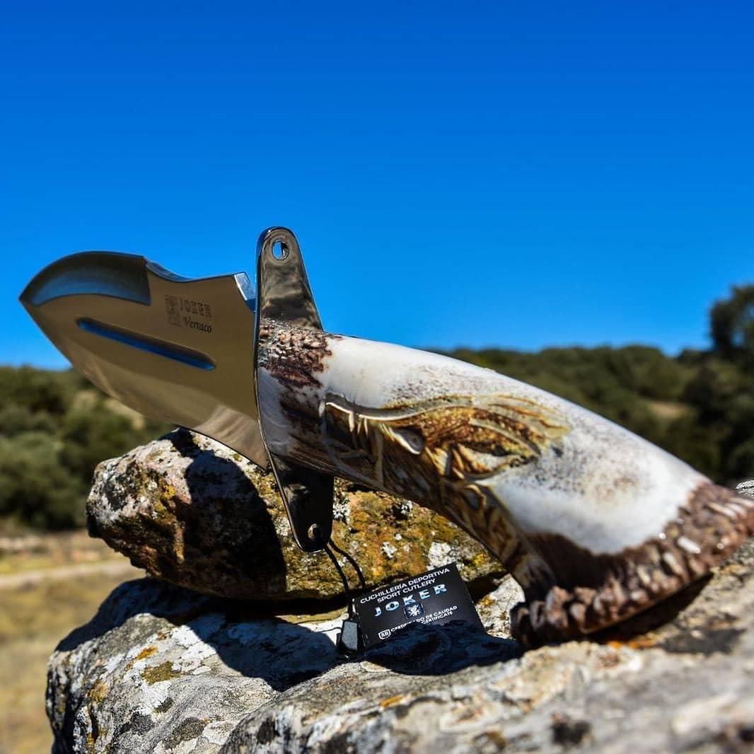 Cuchillo de Caza Joker Verraco CT42, Hoja MOVA 26 cm, Mango de Ciervo