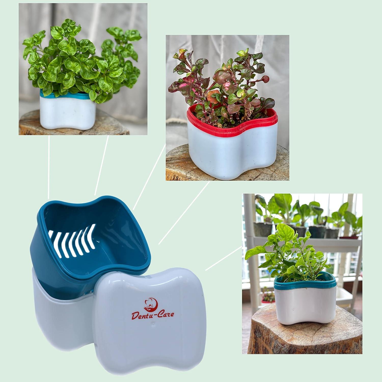 Limpiador de Dentaduras Dentu-Care 30 Tabletas Triple Menta