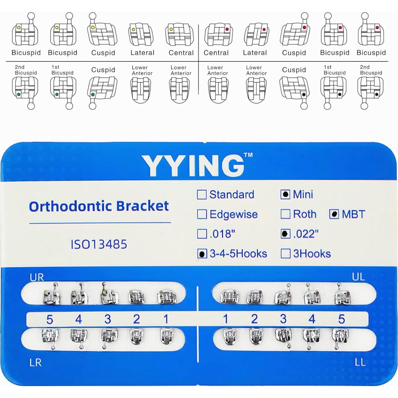 5 Paquetes de Brackets Metálicos Ortodónticos YYING Mini MBT Slot.022