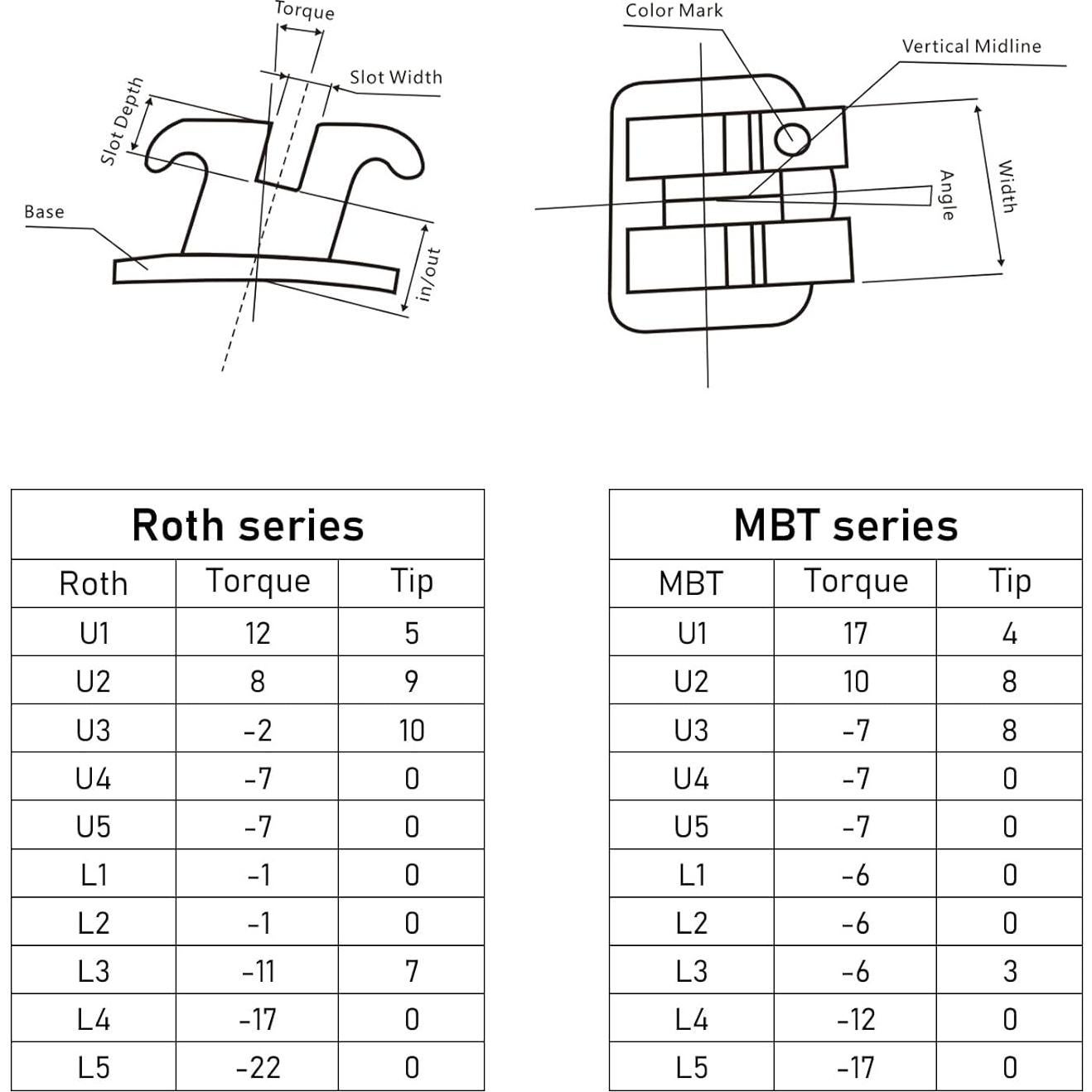 5 Paquetes de Brackets Metálicos Ortodónticos YYING Mini MBT Slot.022