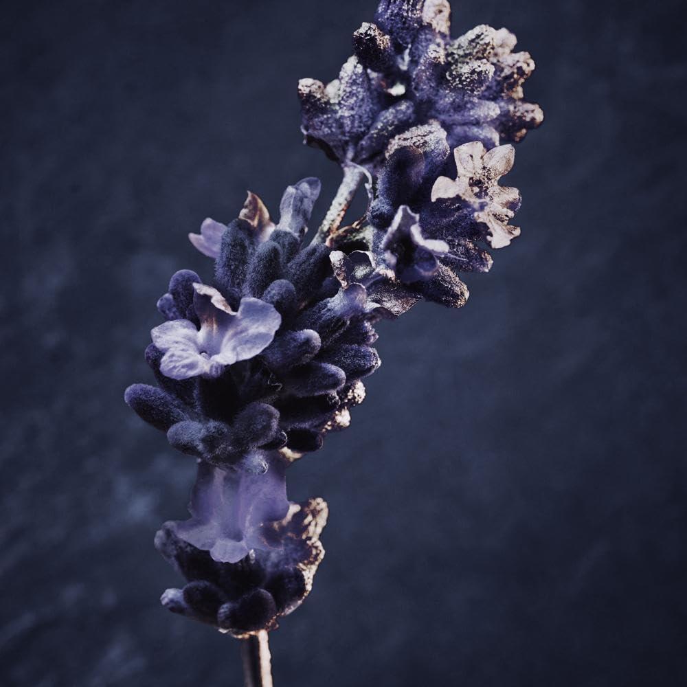 Paco Rabanne Invictus Parfum 48.19 ml Hombres Fragancia