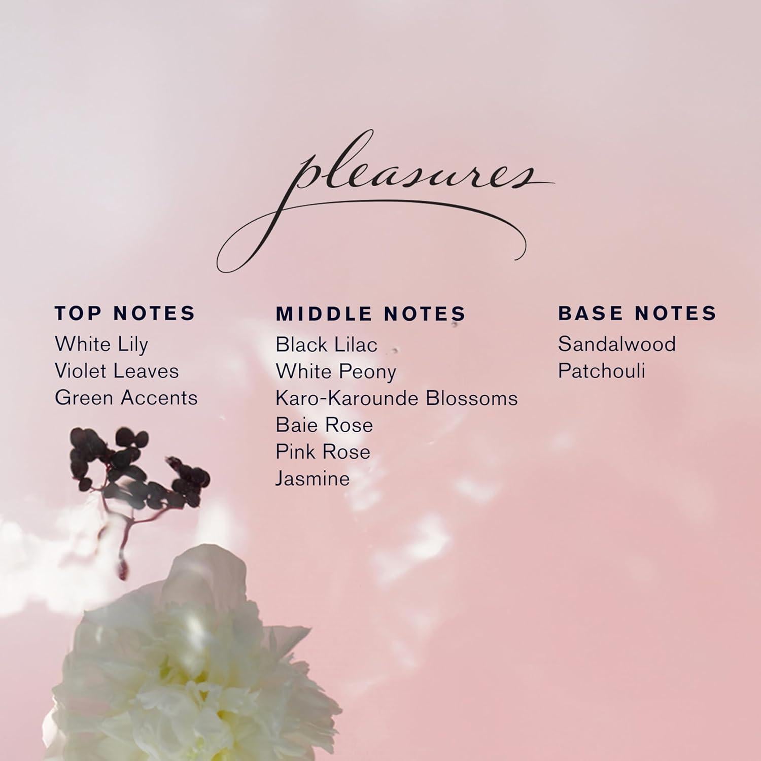 Estée Lauder Conjunto de Perfumes de Viaje 159.5g