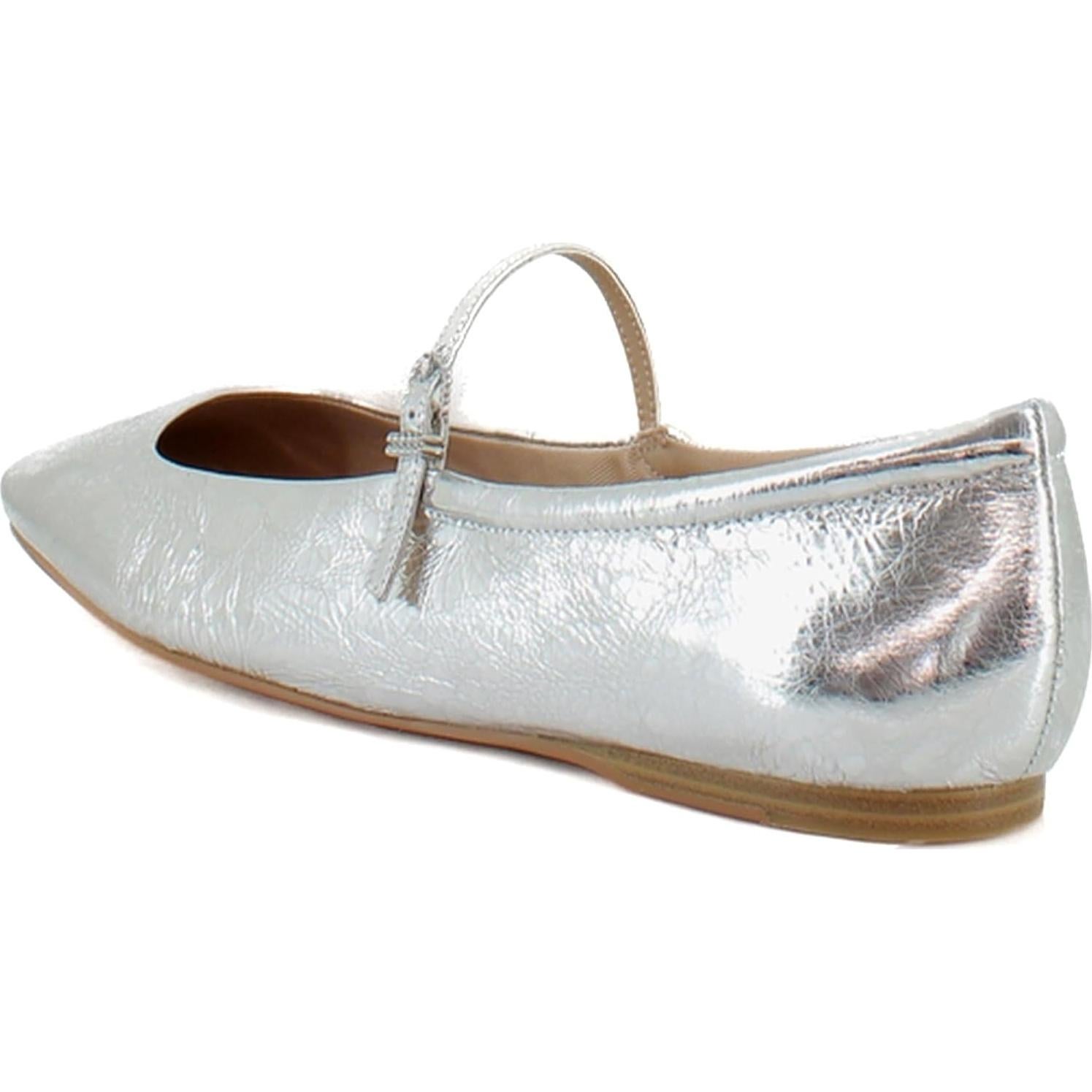 Zapatos de Ballet Dolce Vita REYES CRISTAL Cuero Plateado 7