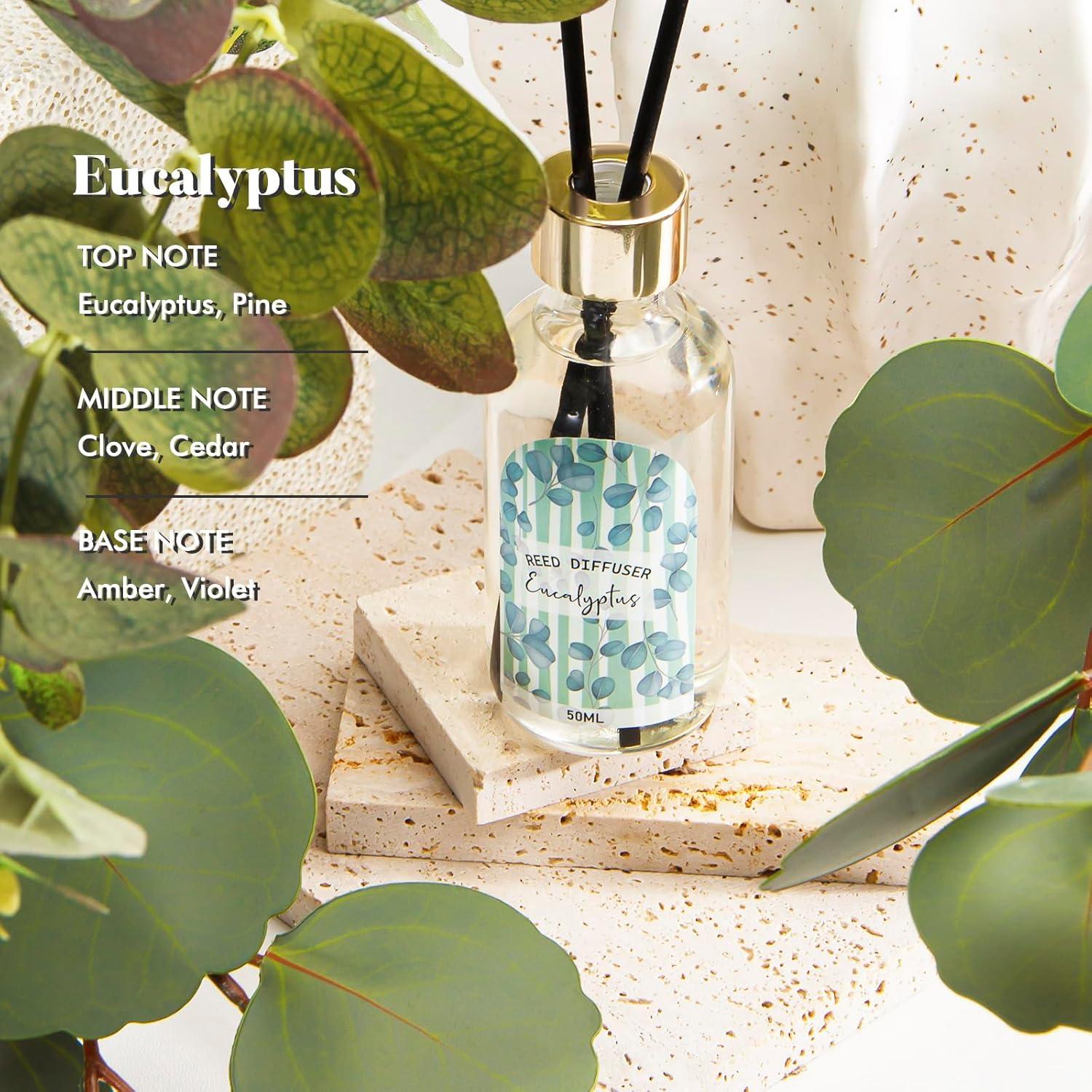 Set de Difusor de Cañas The Good Soul Project 150 ml