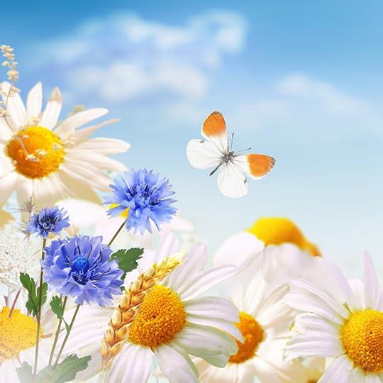 Fragancia Zermat Distinzion Adored 59 ml Floral Cálido