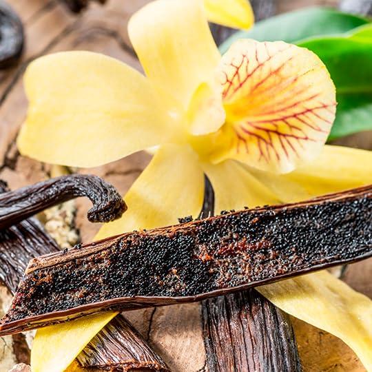 Fragancia Zermat Distinzion Adored 59 ml Floral Cálido