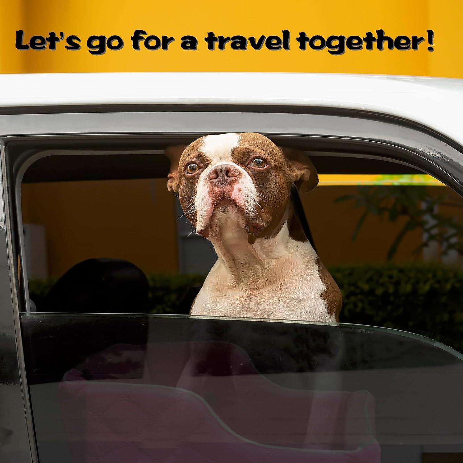 Asiento Elevado para Perros DAIIST Negro Talla Única 15.88 kg