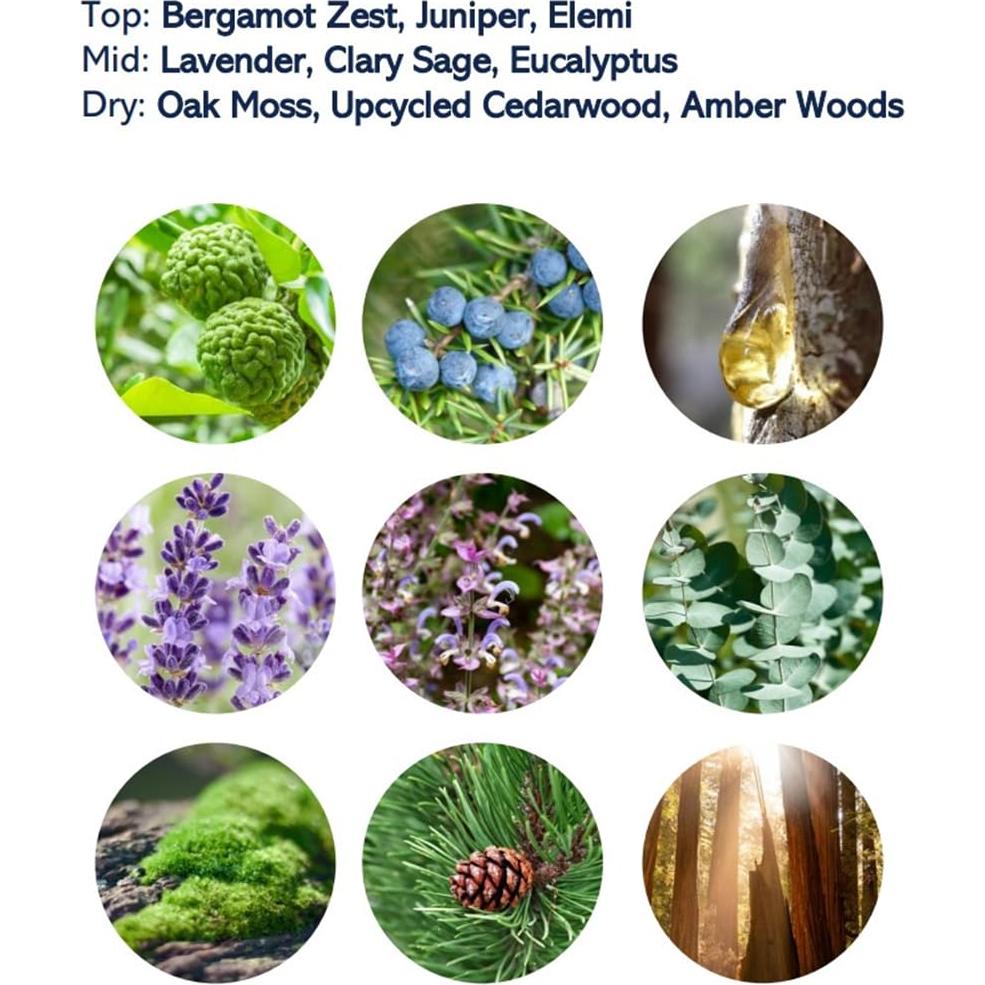 Set de Regalo US Polo Association USPA - 4 Piezas Aromáticas