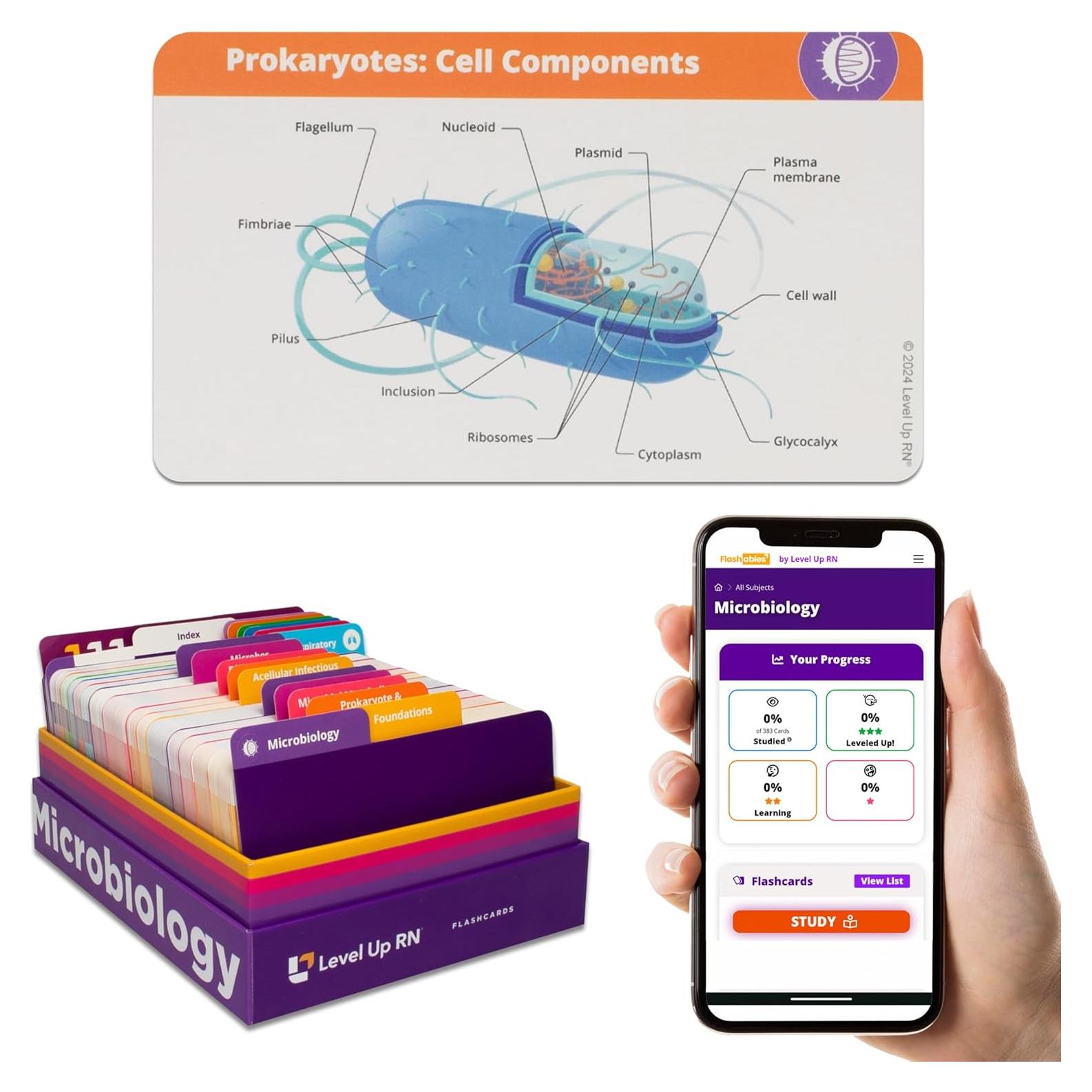 Tarjetas de Flash de Microbiología Level Up RN - 400 Piezas