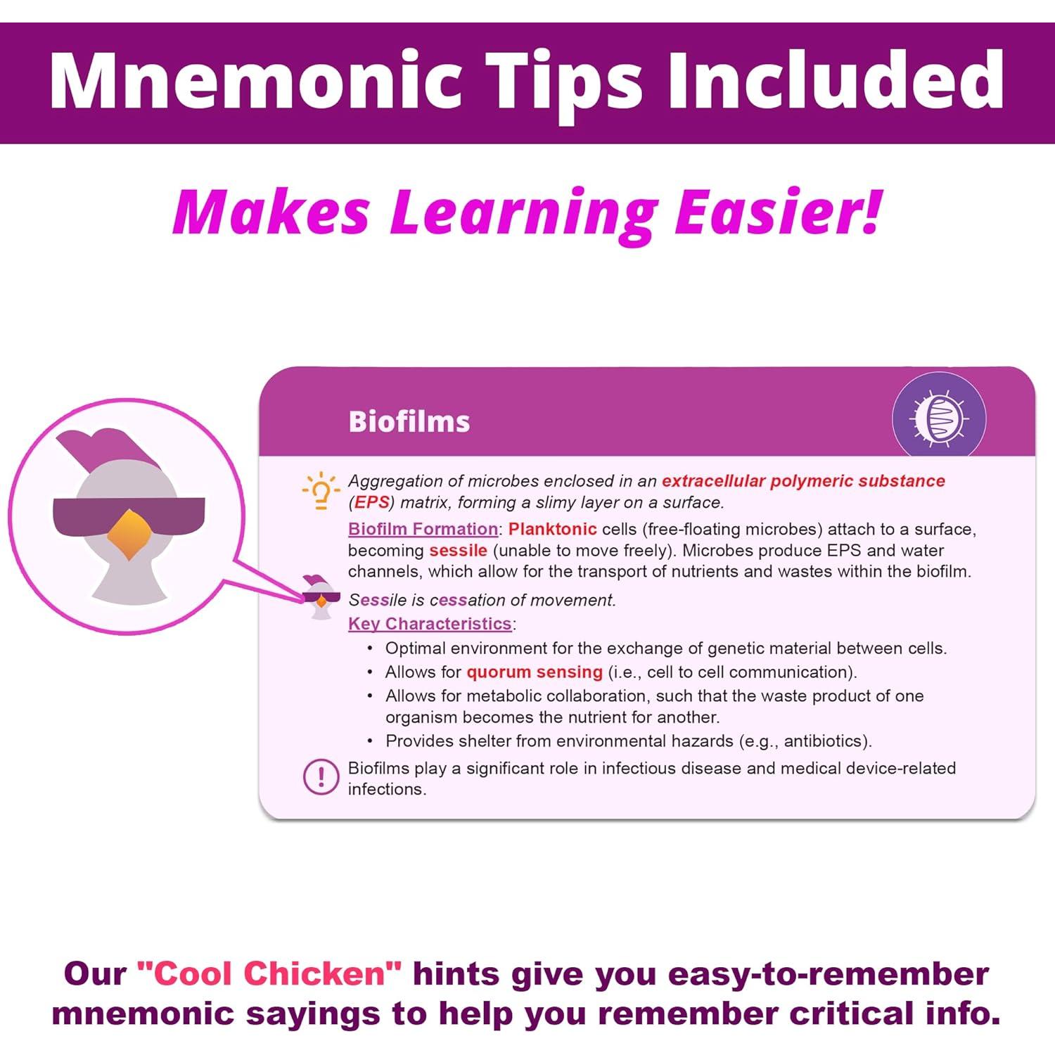 Tarjetas de Flash de Microbiología Level Up RN - 400 Piezas