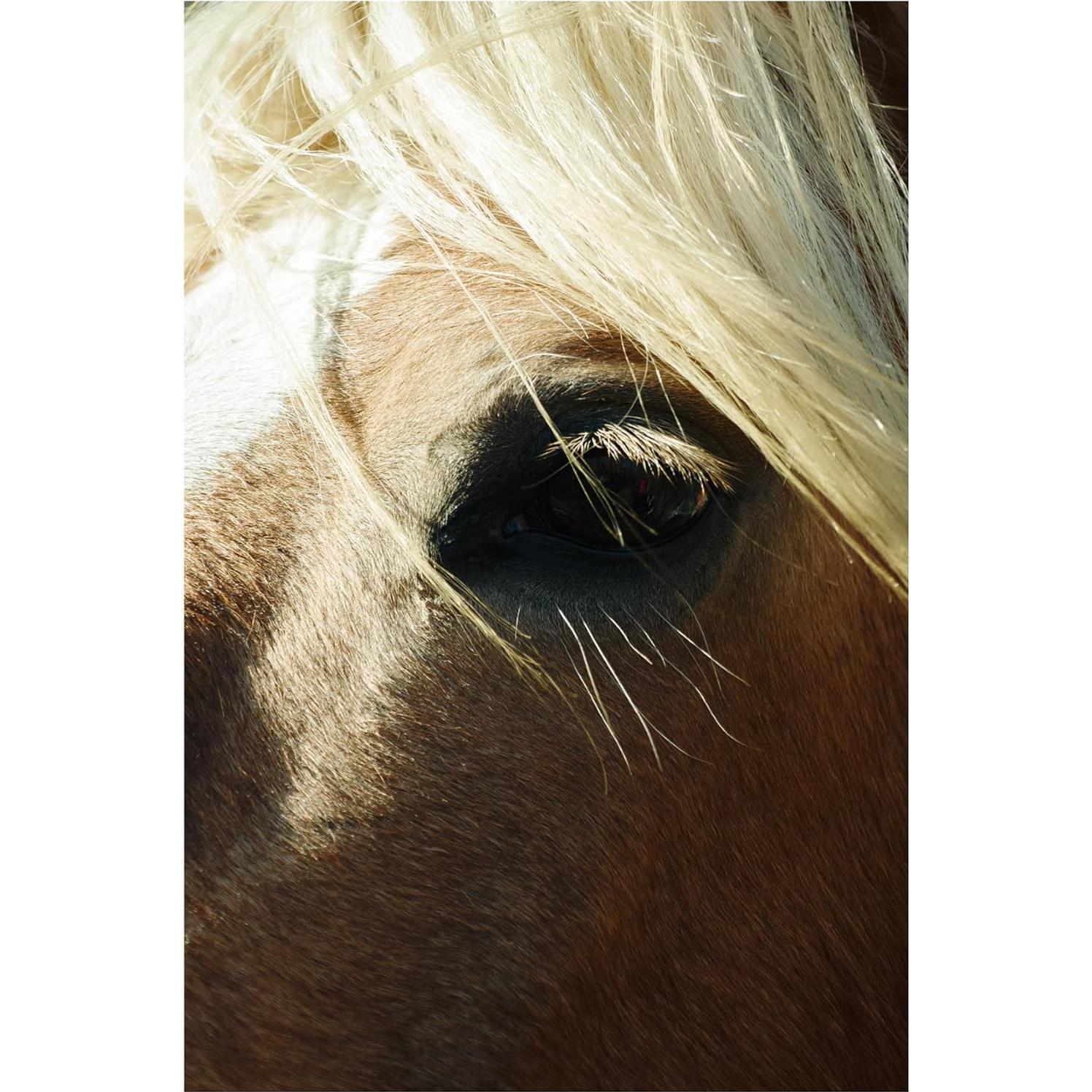 Lente Sigma 16-300mm F3.5-6.7 DC OS Canon RF