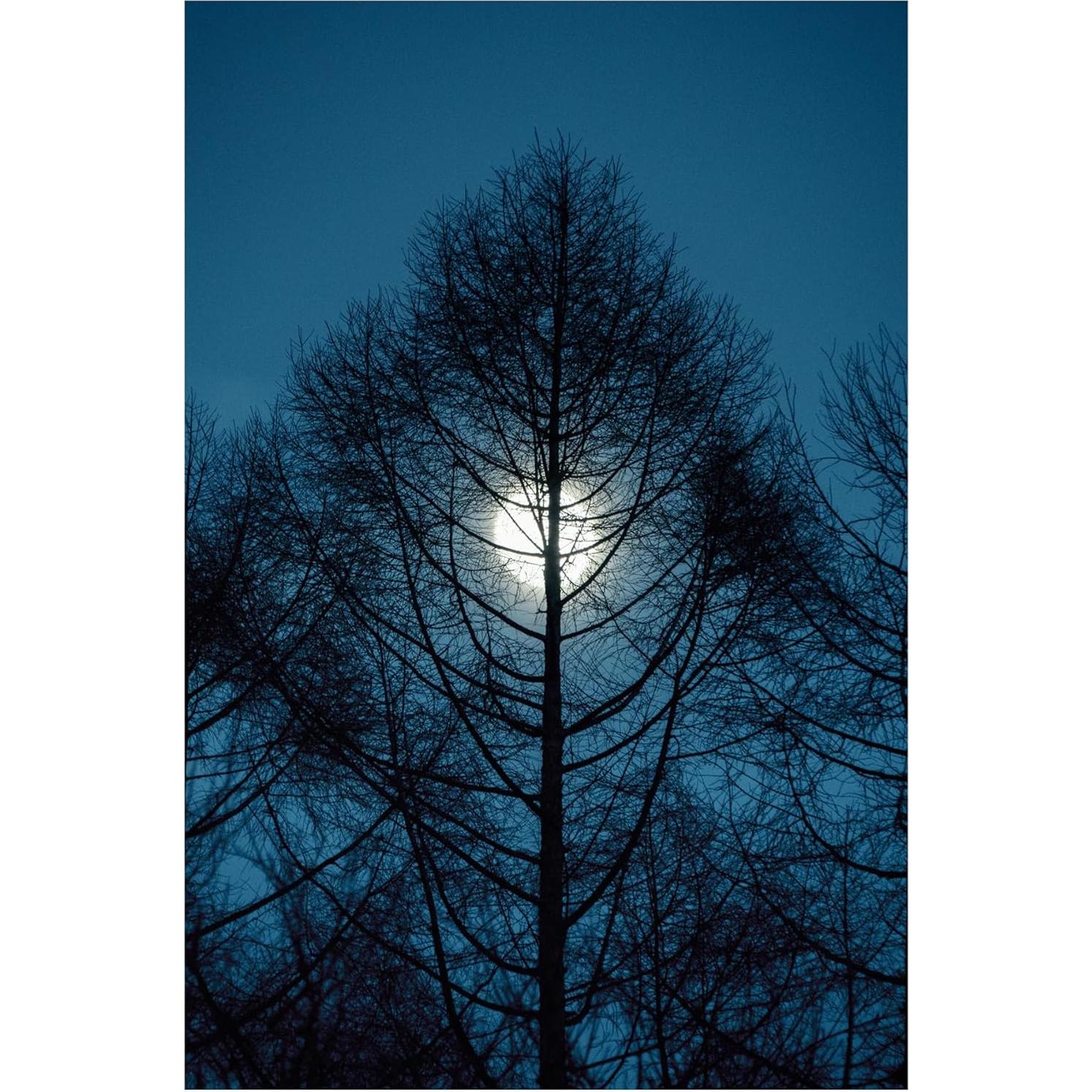 Lente Sigma 16-300mm F3.5-6.7 DC OS Canon RF