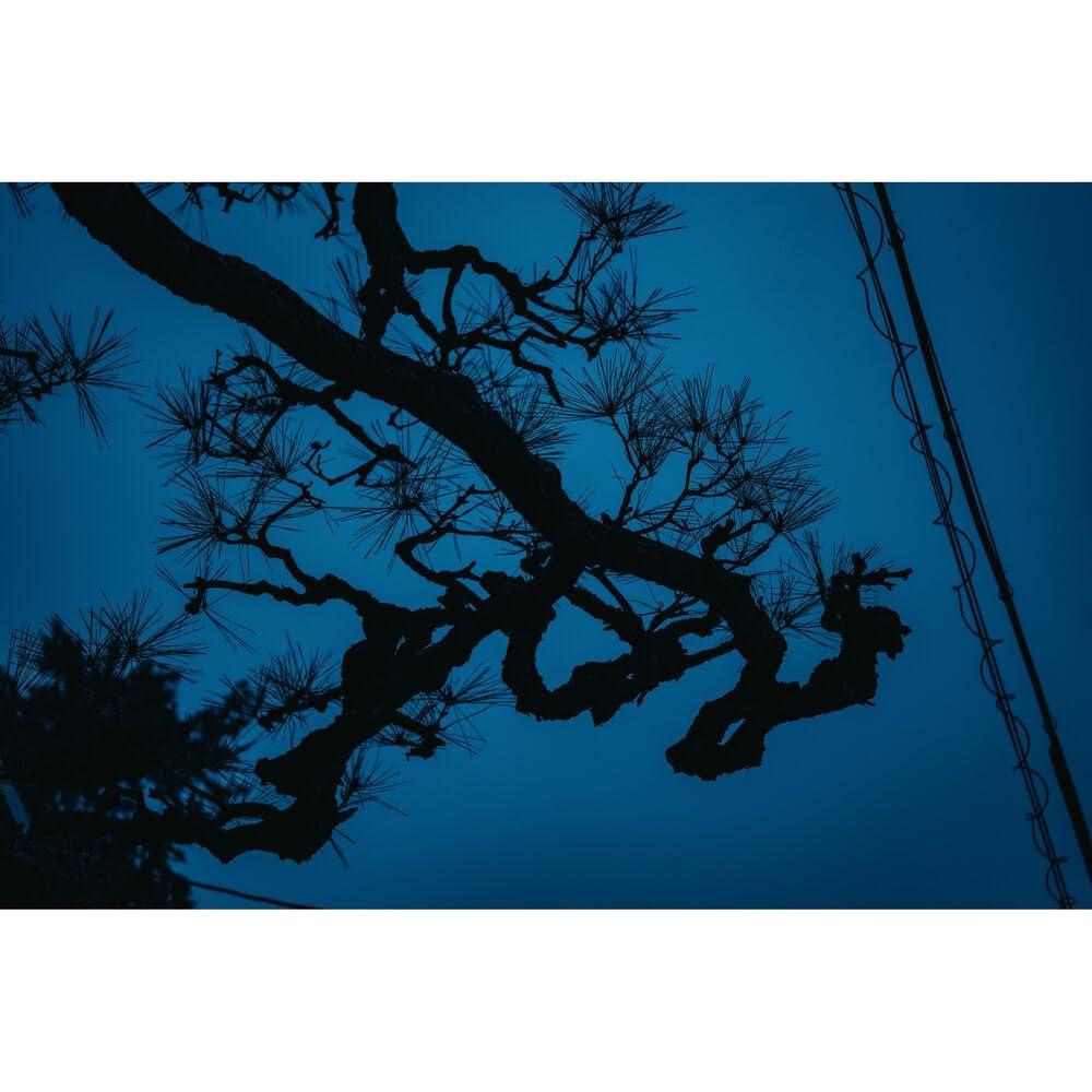 Lente Sigma 17-40mm f/1.8 DC Art Montura L - Ideal para Fotografía