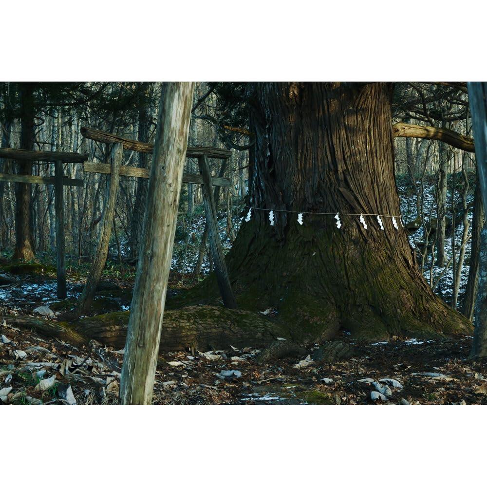 Lente Sigma 16-300mm f/3.5-6.7 DC OS para Sony E - Kit Completo