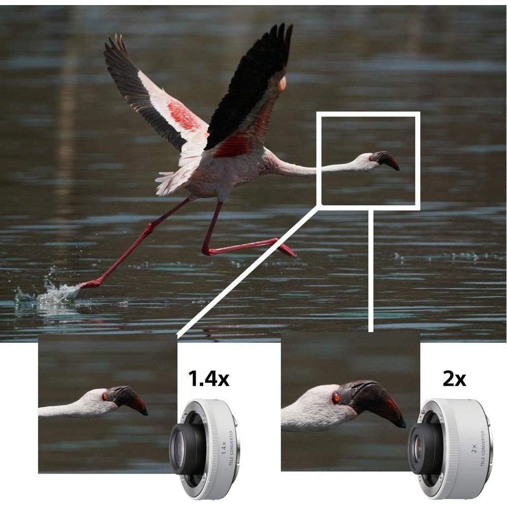 Lente Zoom Super-Telefoto Sony FE 200-600mm F5.6-6.3 G OSS