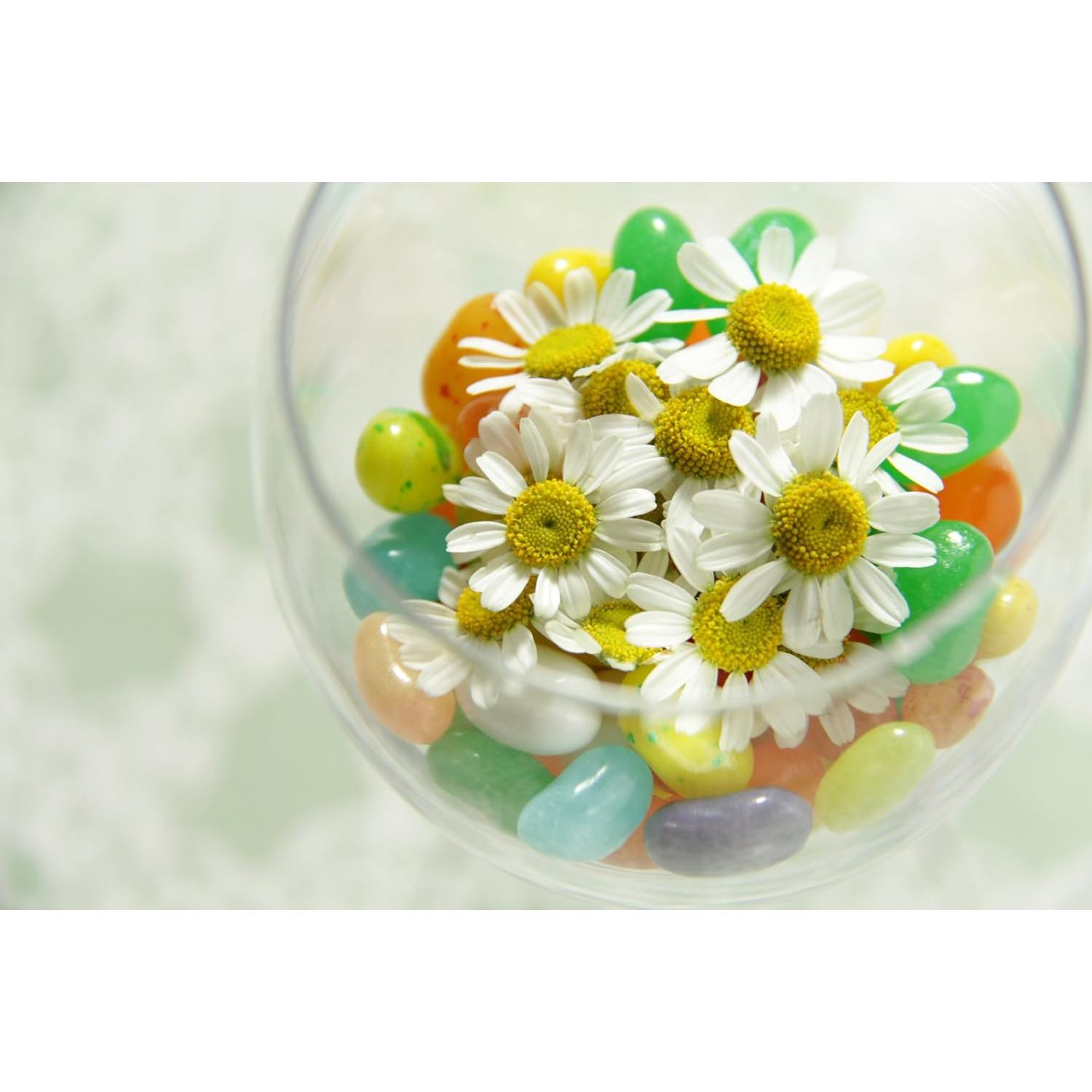 Lente Canon EF-S 18-200mm f/3.5-5.6 IS para DSLR