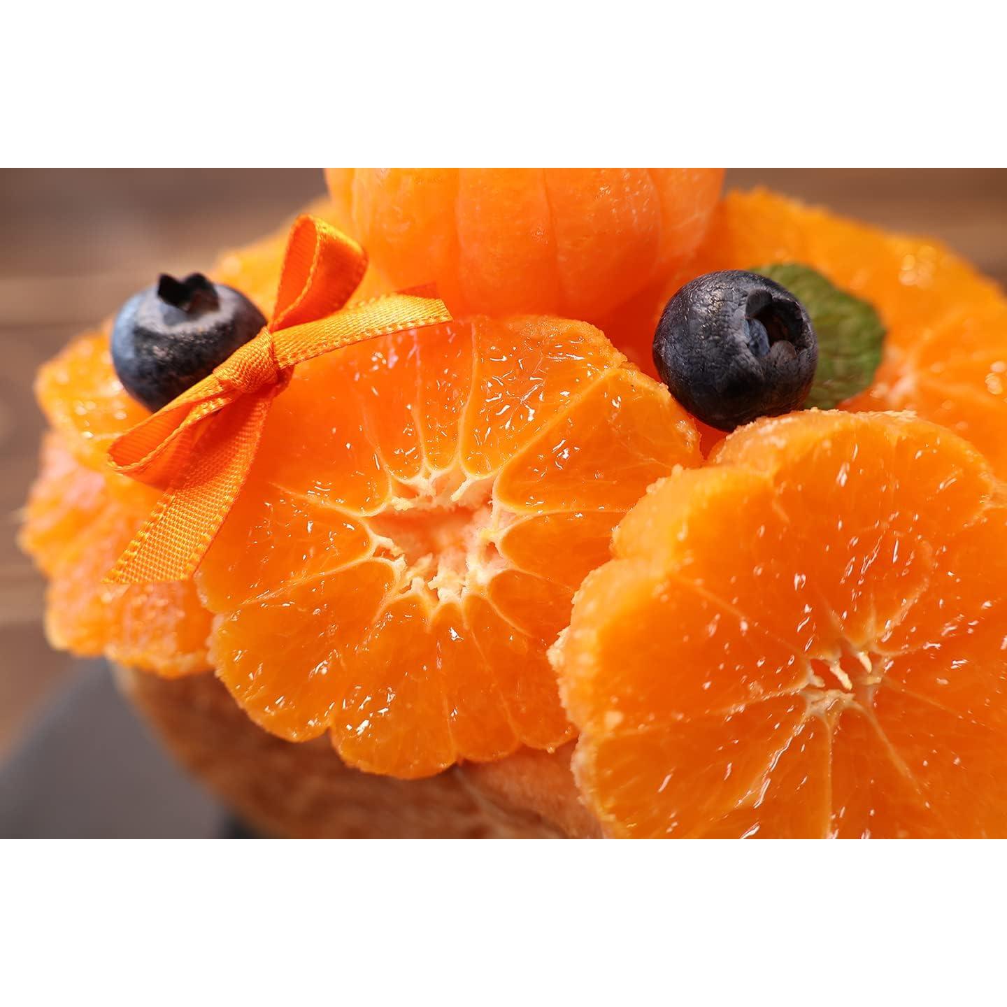 Lente Canon RF-S 18-150mm f/3.5-6.3 IS STM para APS-C