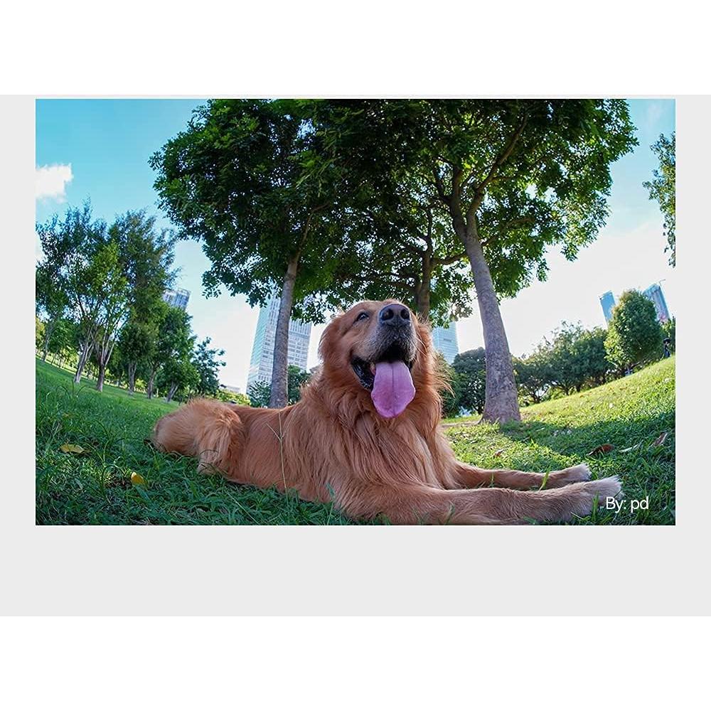 Lente Ojo de Pez 7.5mm F2 TTArtisan para Canon EOS R