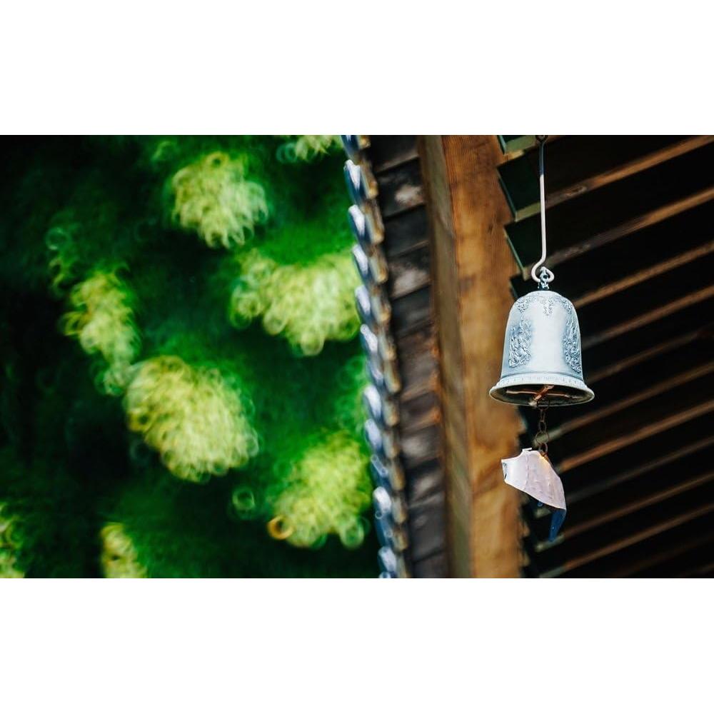 Lente Espejo Rokinon 300mm F6.3 para Cámaras Sin Espejo Fuji X