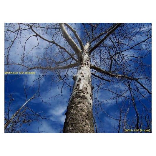 Filtro UV Haze 1A BW Elite 58mm para Lentes Pentax