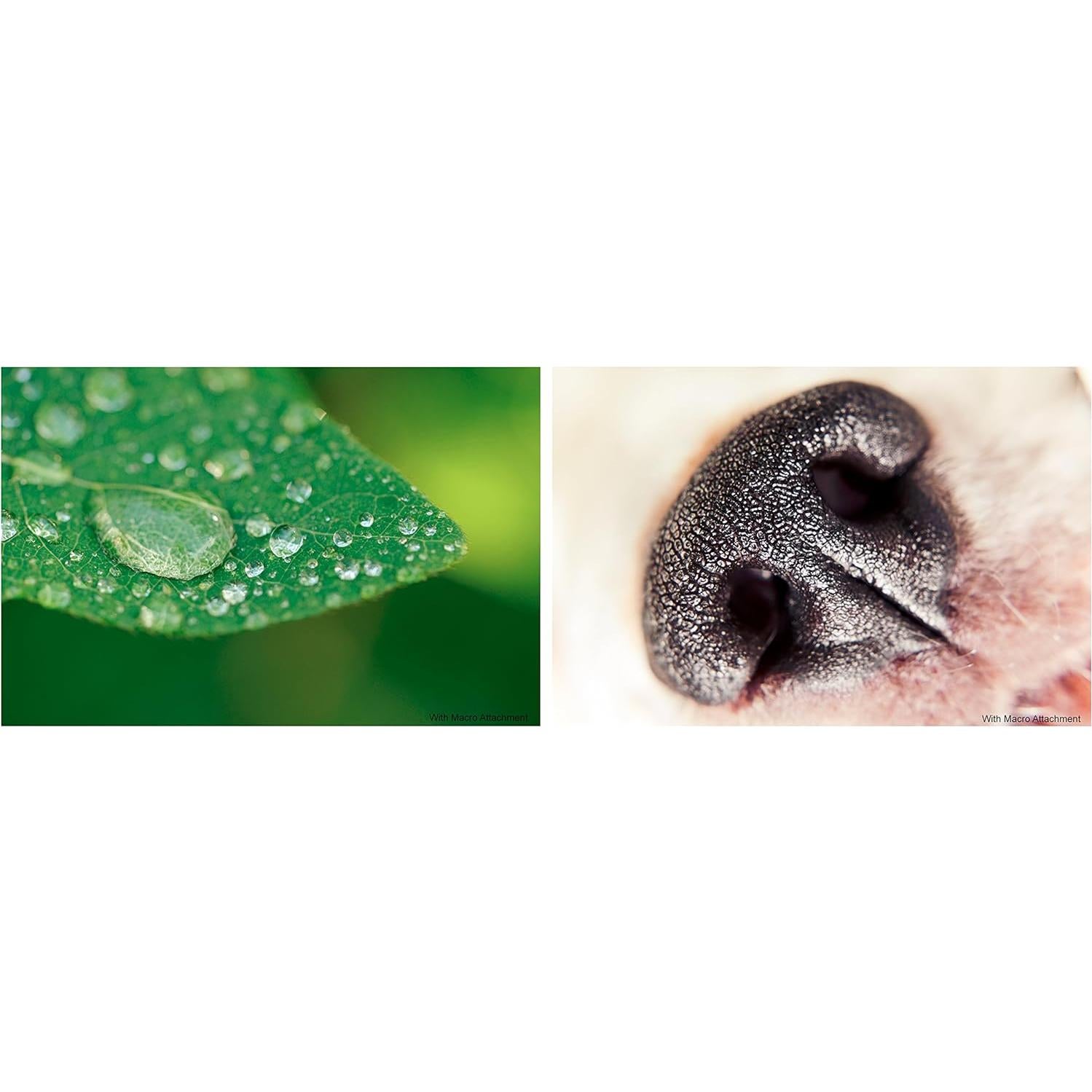 Lente Gran Angular Digital Nc 0.5x para Nikon COOLPIX B700