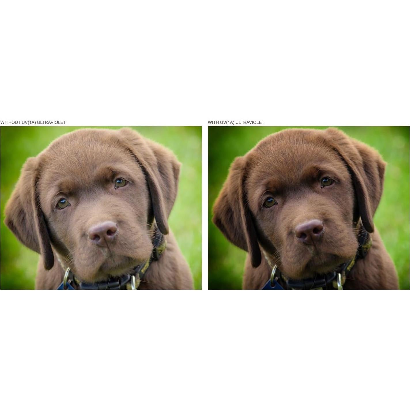 Lente Gran Angular Digital Nc 0.43x con Macro para Panasonic