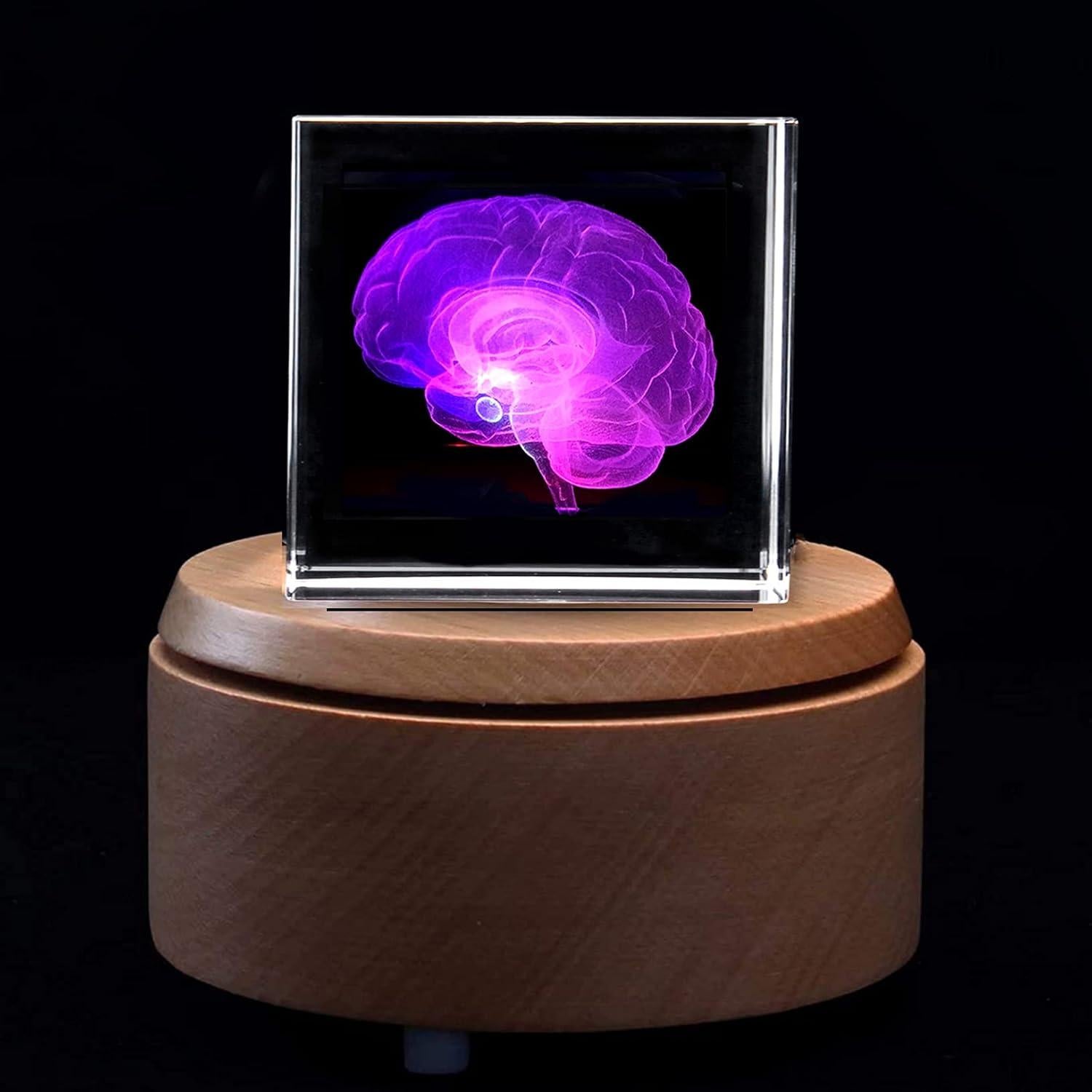 Sujetapapeles 3D Cerebro Humano XINDAM en Cristal 5.84 cm
