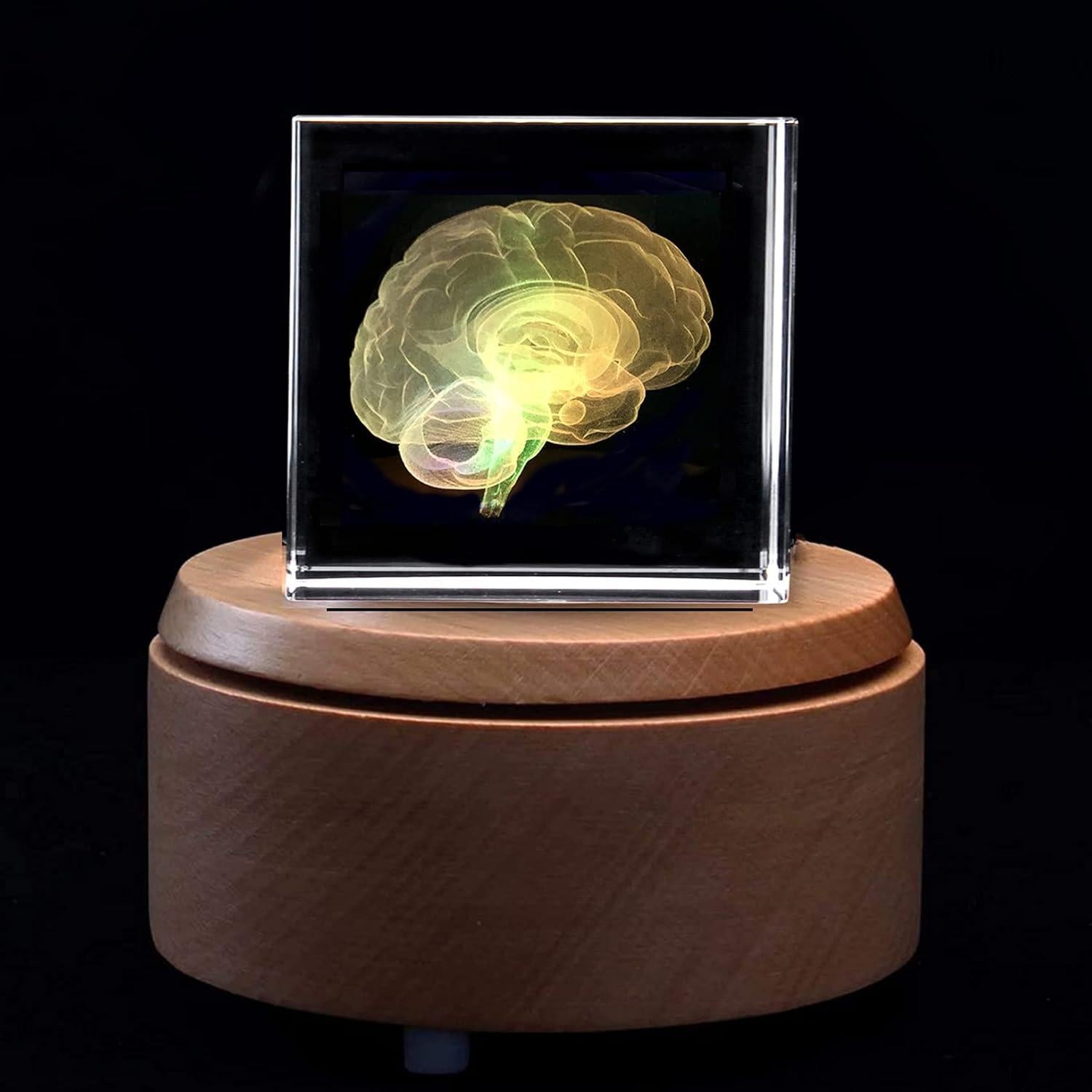 Sujetapapeles 3D Cerebro Humano XINDAM en Cristal 5.84 cm