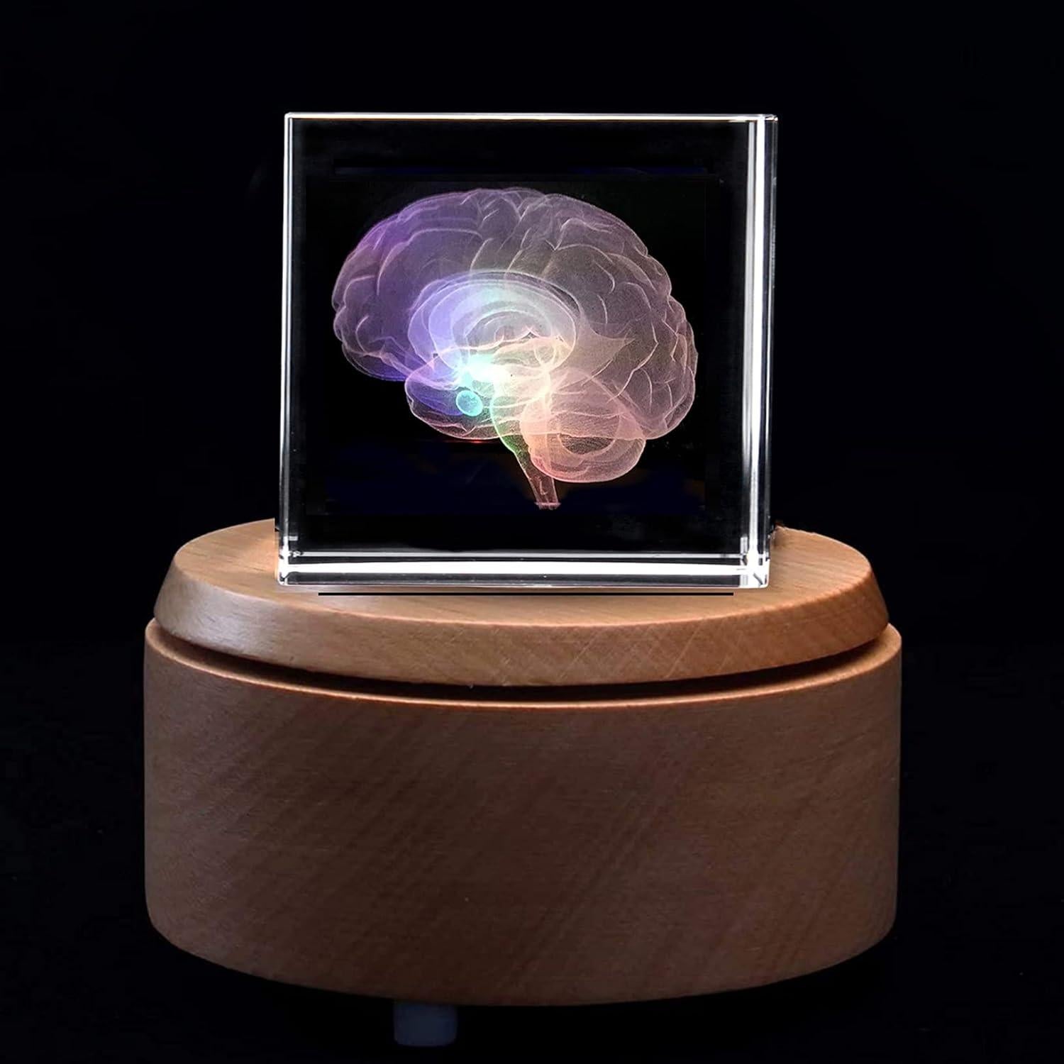 Sujetapapeles 3D Cerebro Humano XINDAM en Cristal 5.84 cm