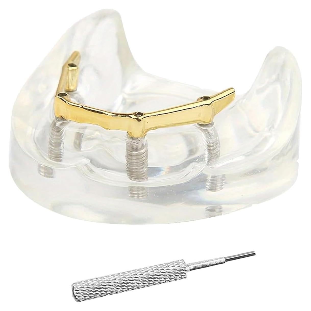 Modelo Dental Sobredentadura Kouyot Transparente 10.49x9.60cm