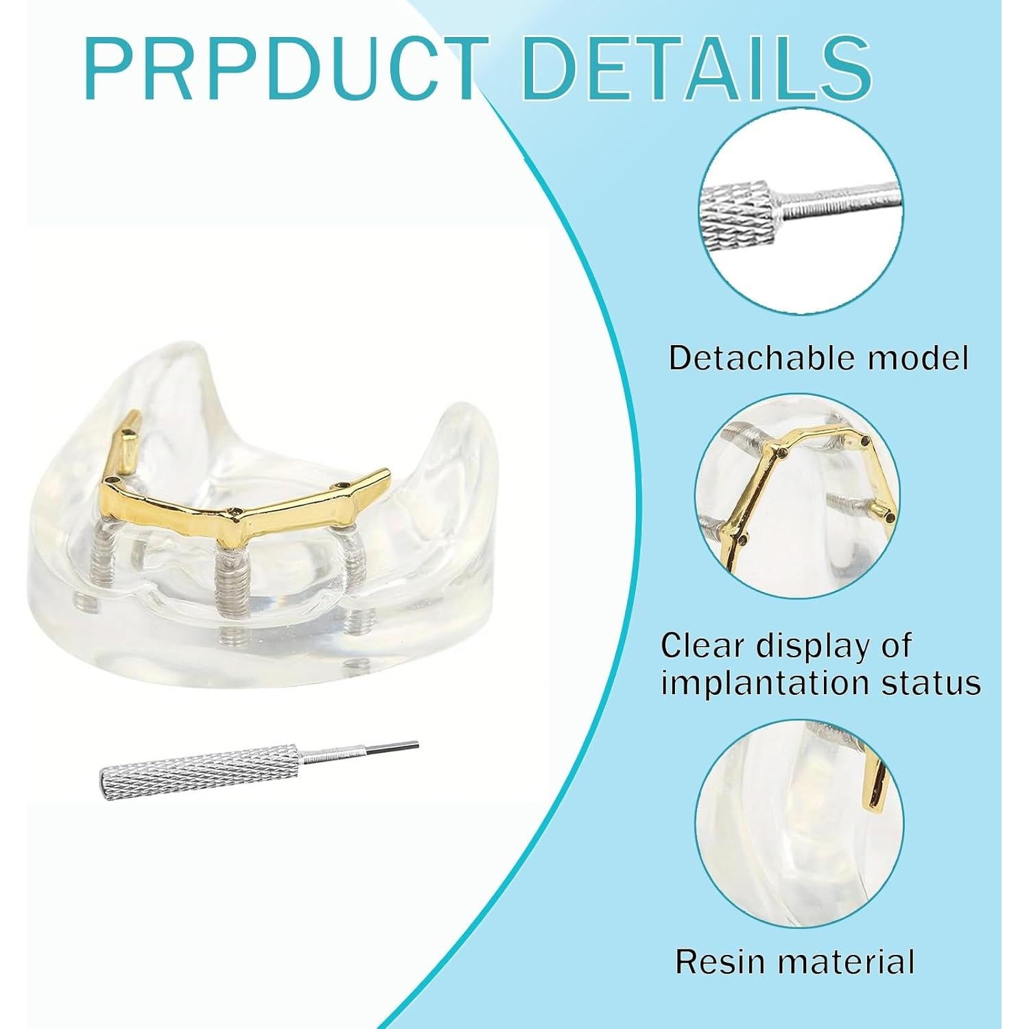 Modelo Dental Sobredentadura Kouyot Transparente 10.49x9.60cm