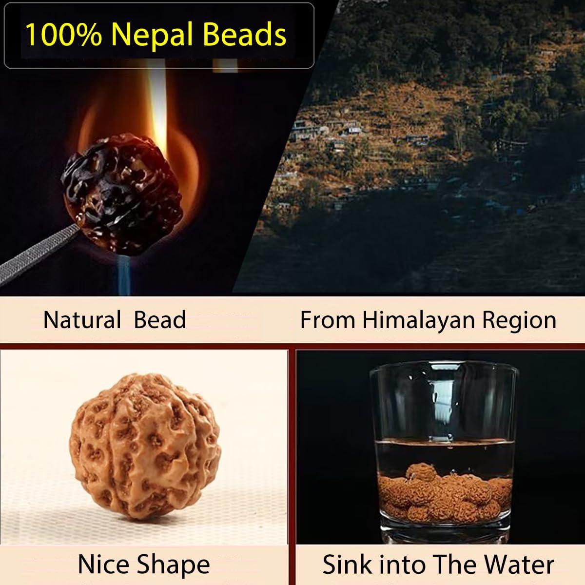 Collar de Oración Rudraksha 108 Cuentas 13mm Hyoquilex