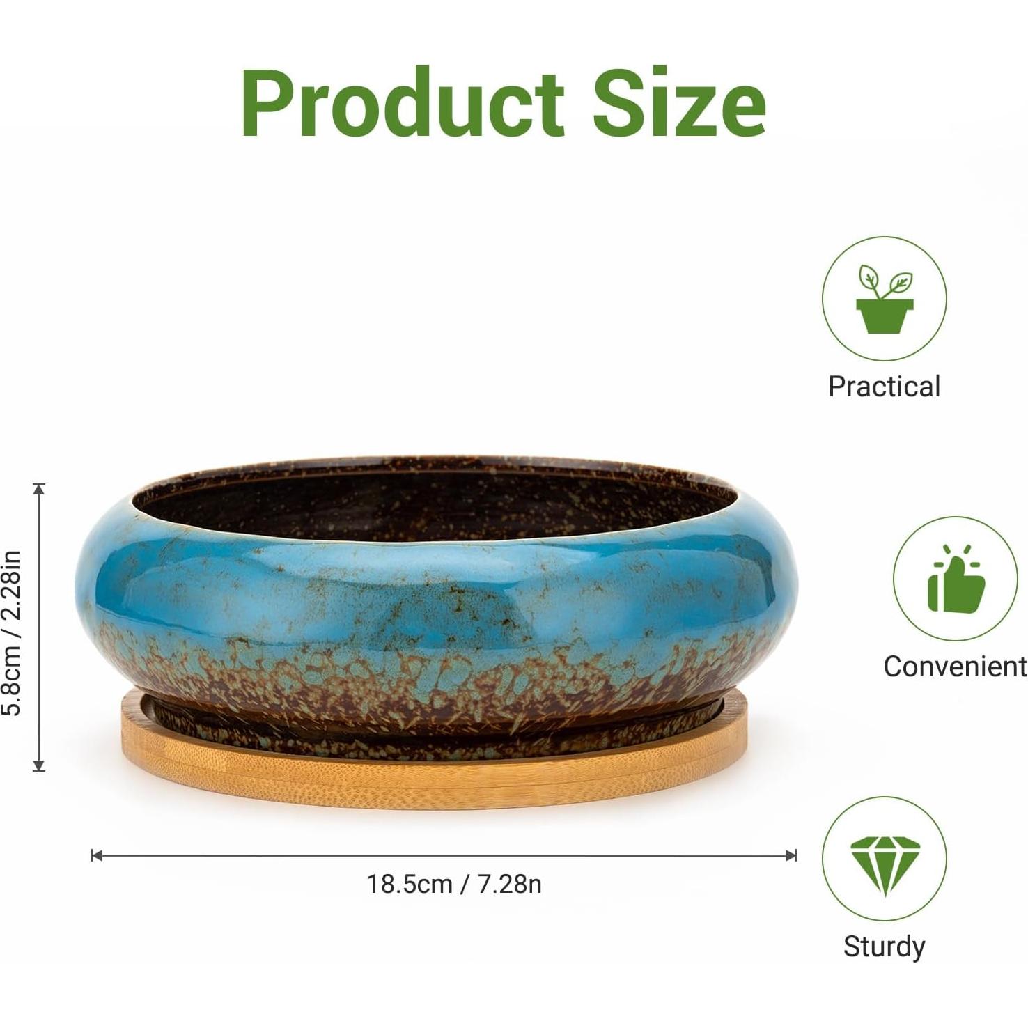 Maceta Cerámica Azul con Ranas - 16.5 cm D x 15.5 cm H