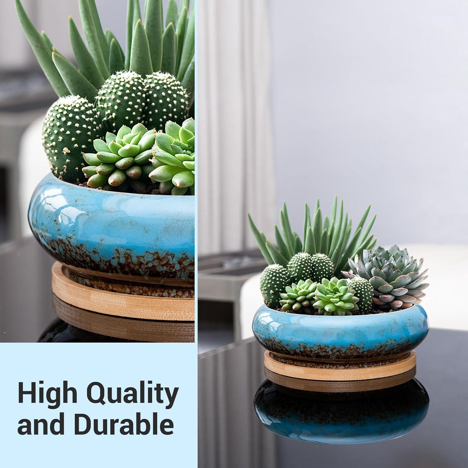 Maceta Cerámica Azul con Ranas - 16.5 cm D x 15.5 cm H