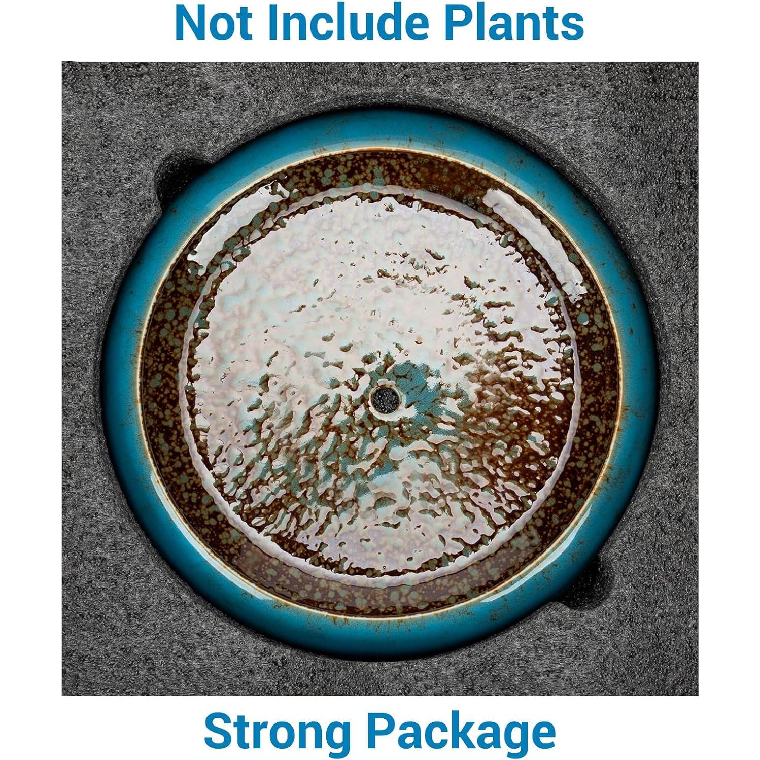 Maceta Cerámica Azul con Ranas - 16.5 cm D x 15.5 cm H