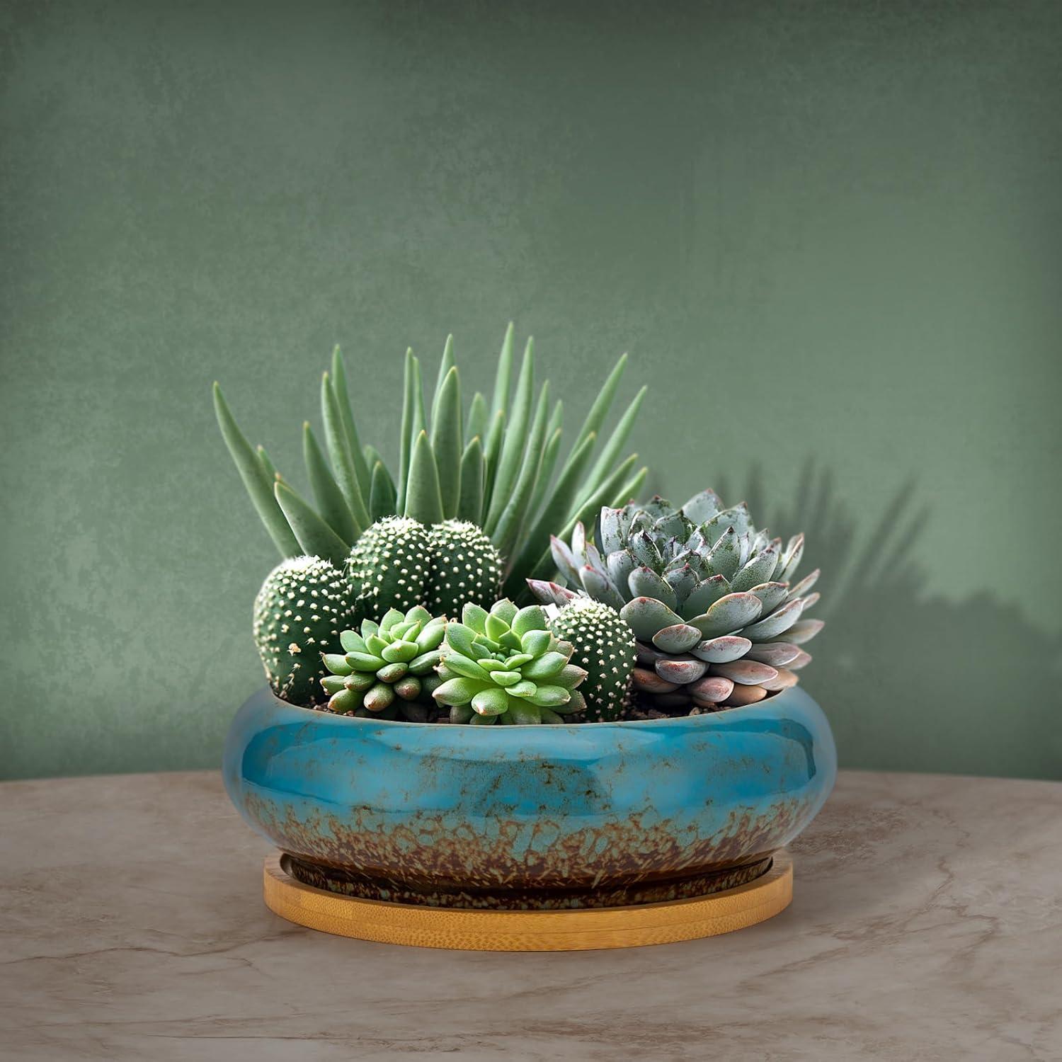 Maceta Cerámica Azul con Ranas - 16.5 cm D x 15.5 cm H