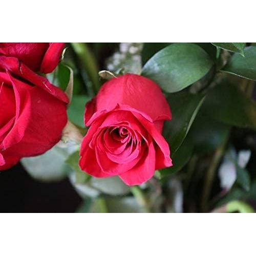 Lente Gran Angular 55MM Optura HD para Sony FDR-AX33/AX43/AX53