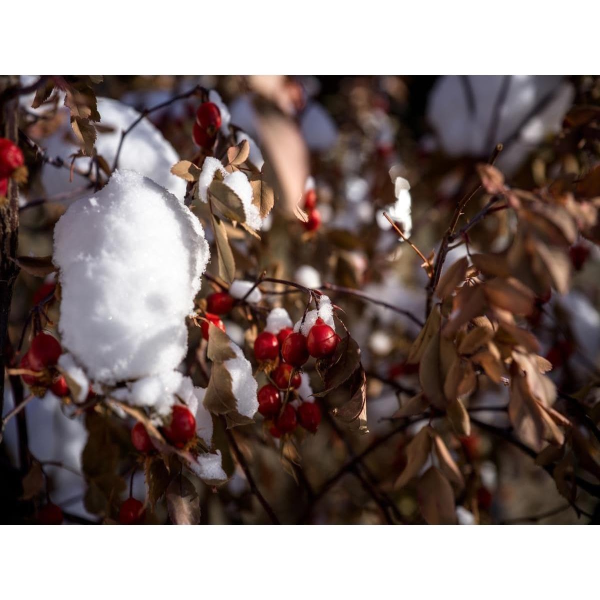 Filtro ND8 72mm Hasselblad con recubrimiento nano doble cara